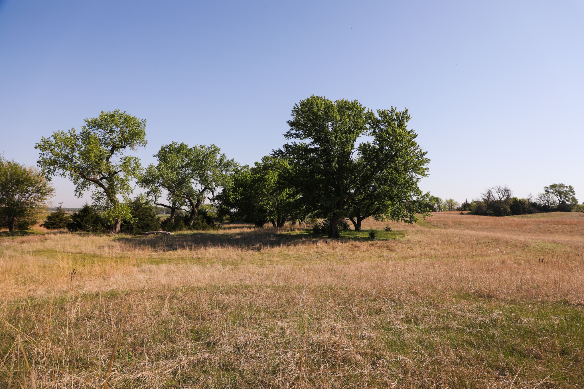 Saint Paul, NE 68873 - image 6