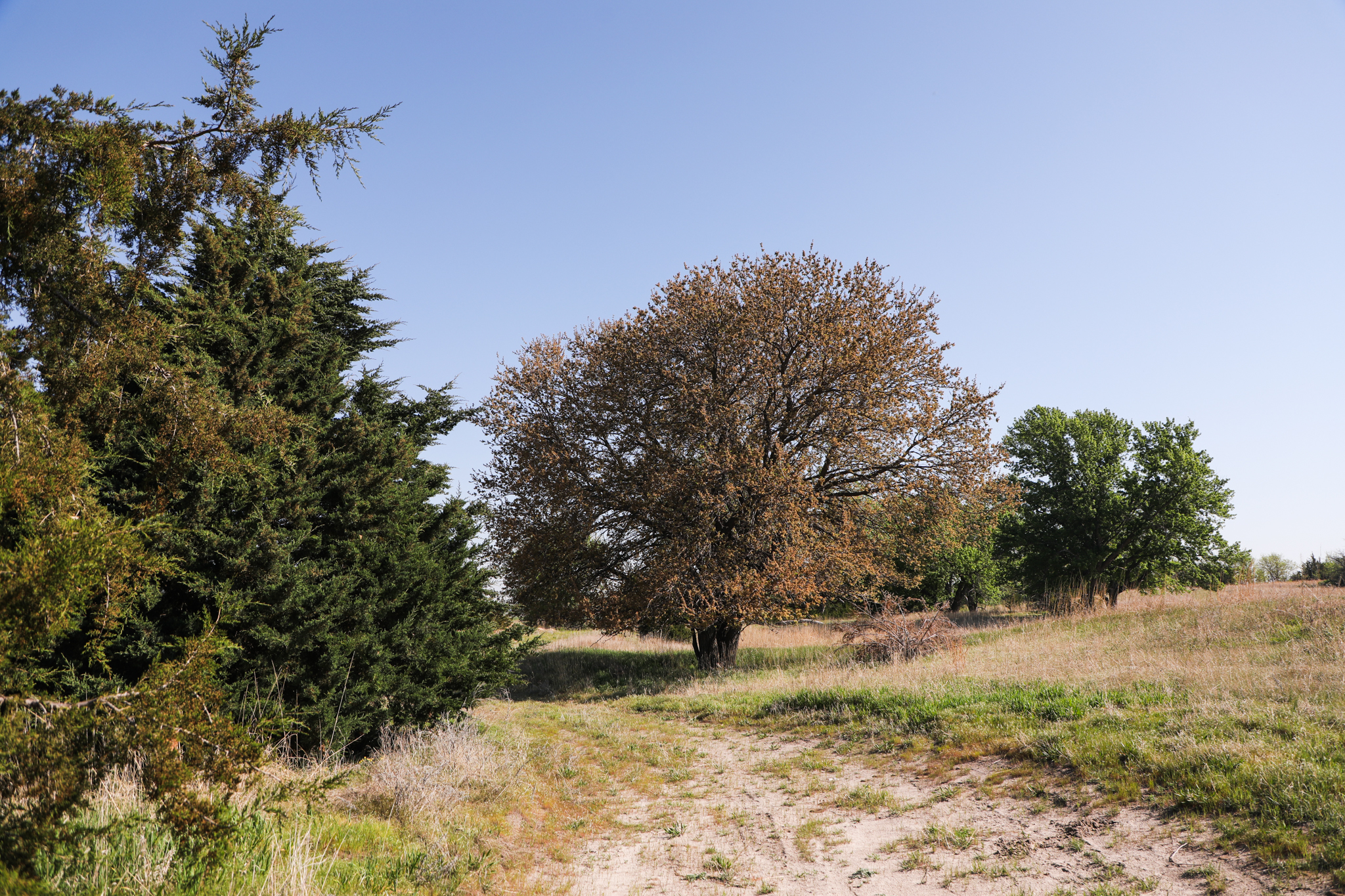 Saint Paul, NE 68873 - image 3
