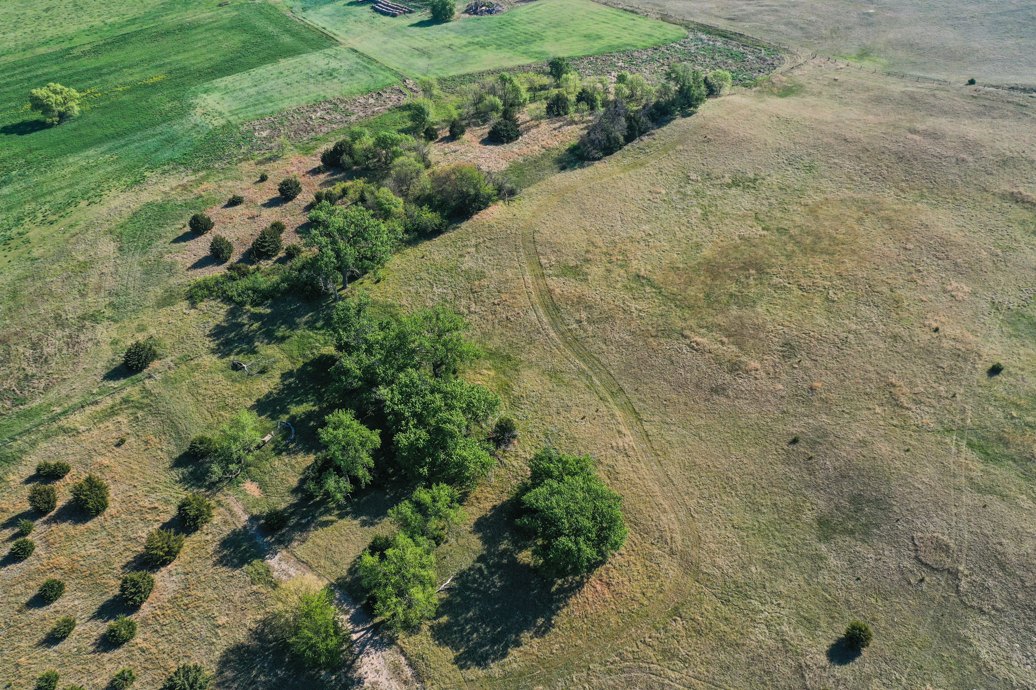 Saint Paul, NE 68873 - image 13