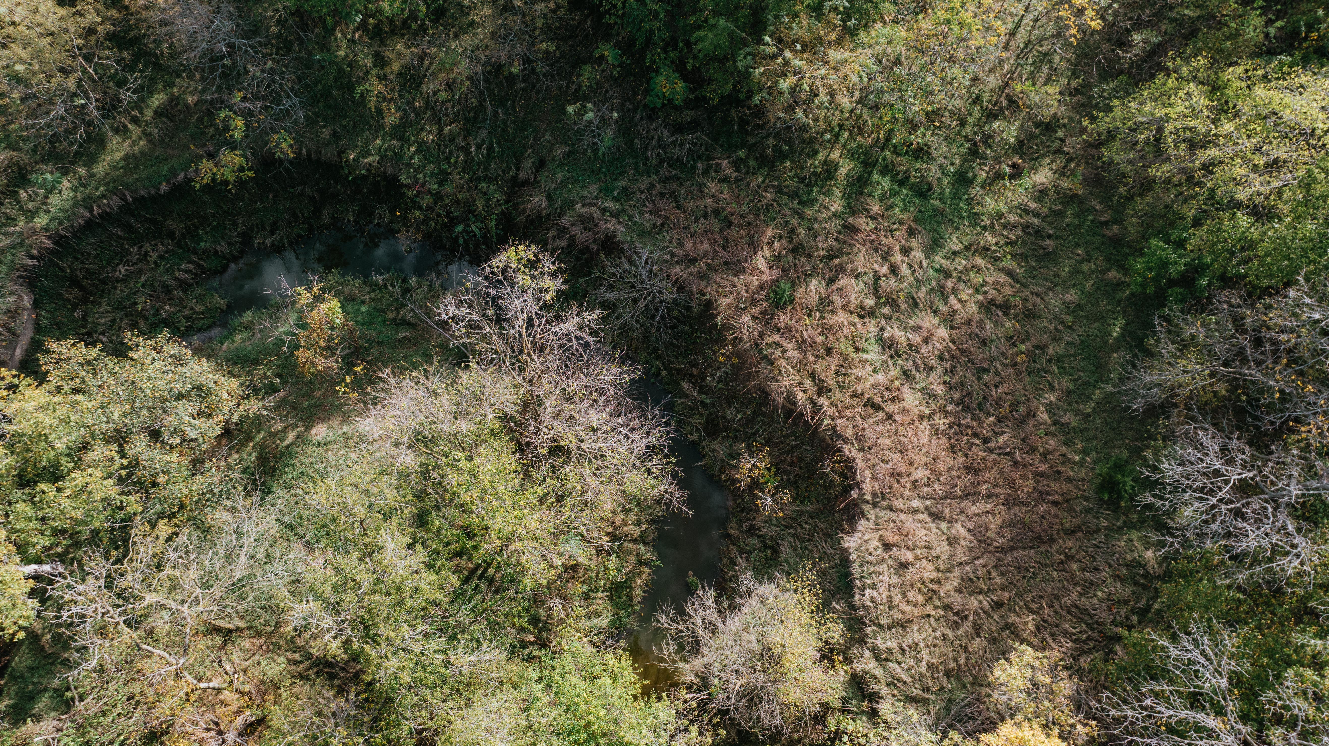 Hickman, NE 68372 - image 22