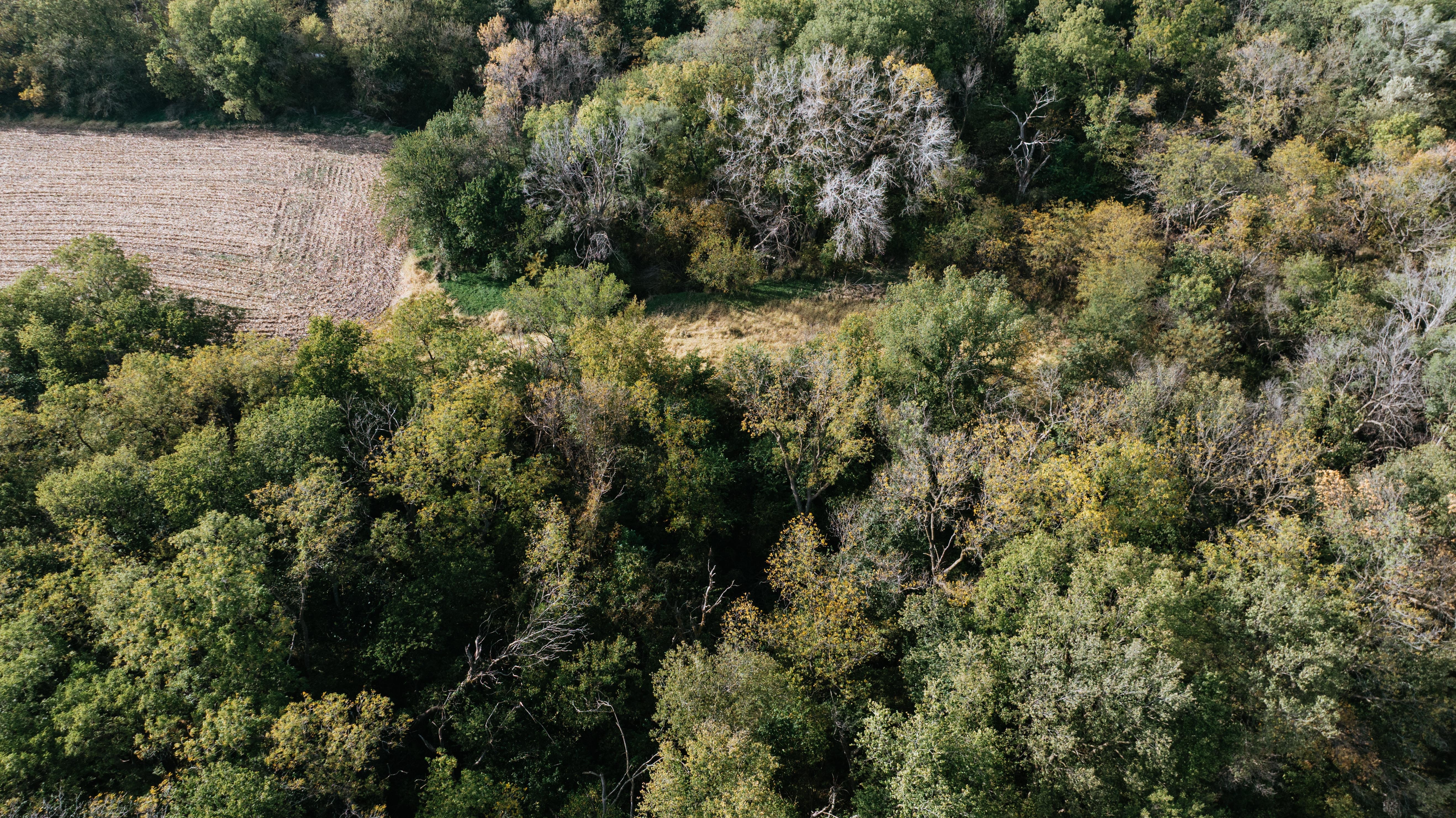 Hickman, NE 68372 - image 19