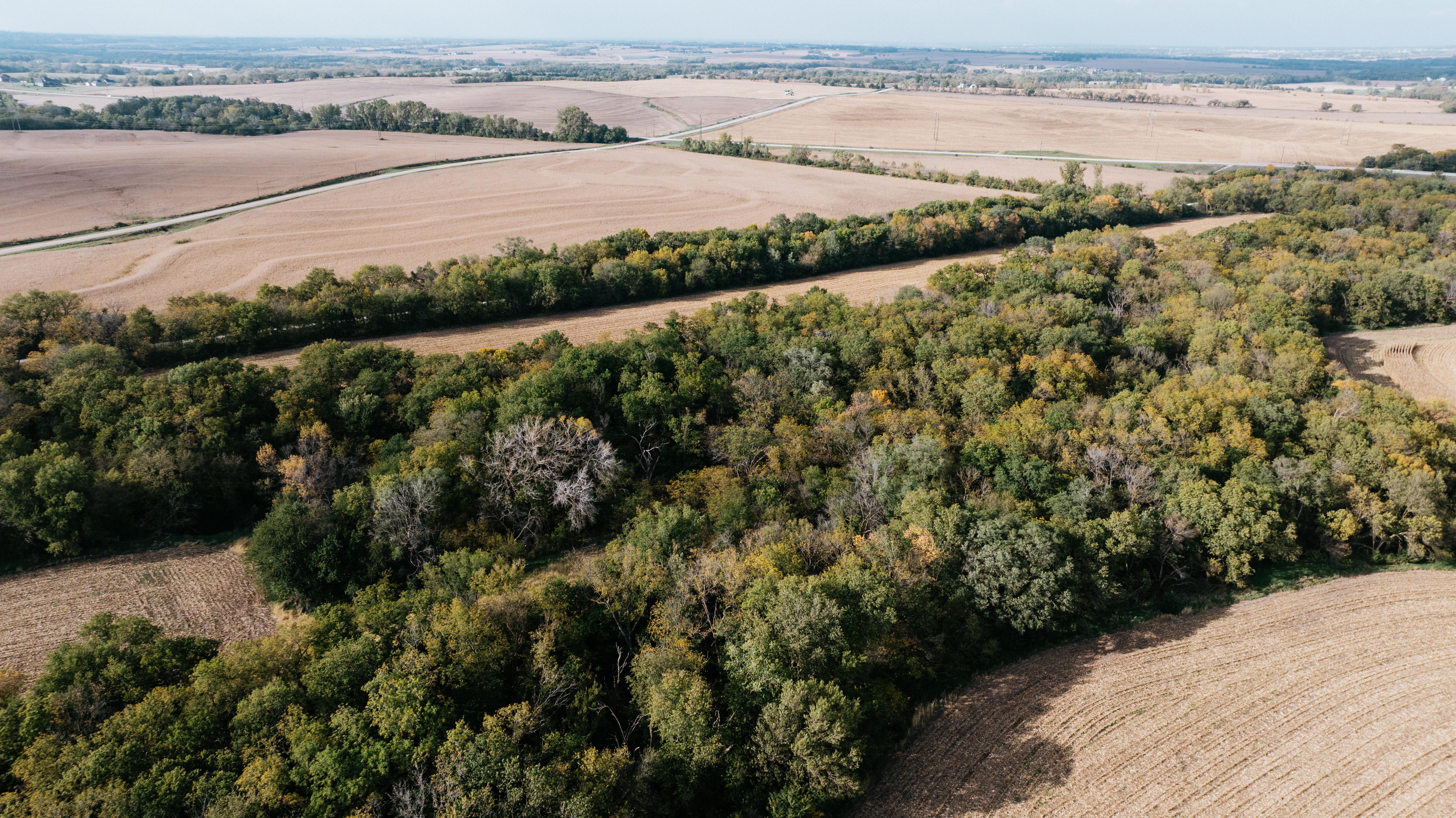 Hickman, NE 68372 - image 18