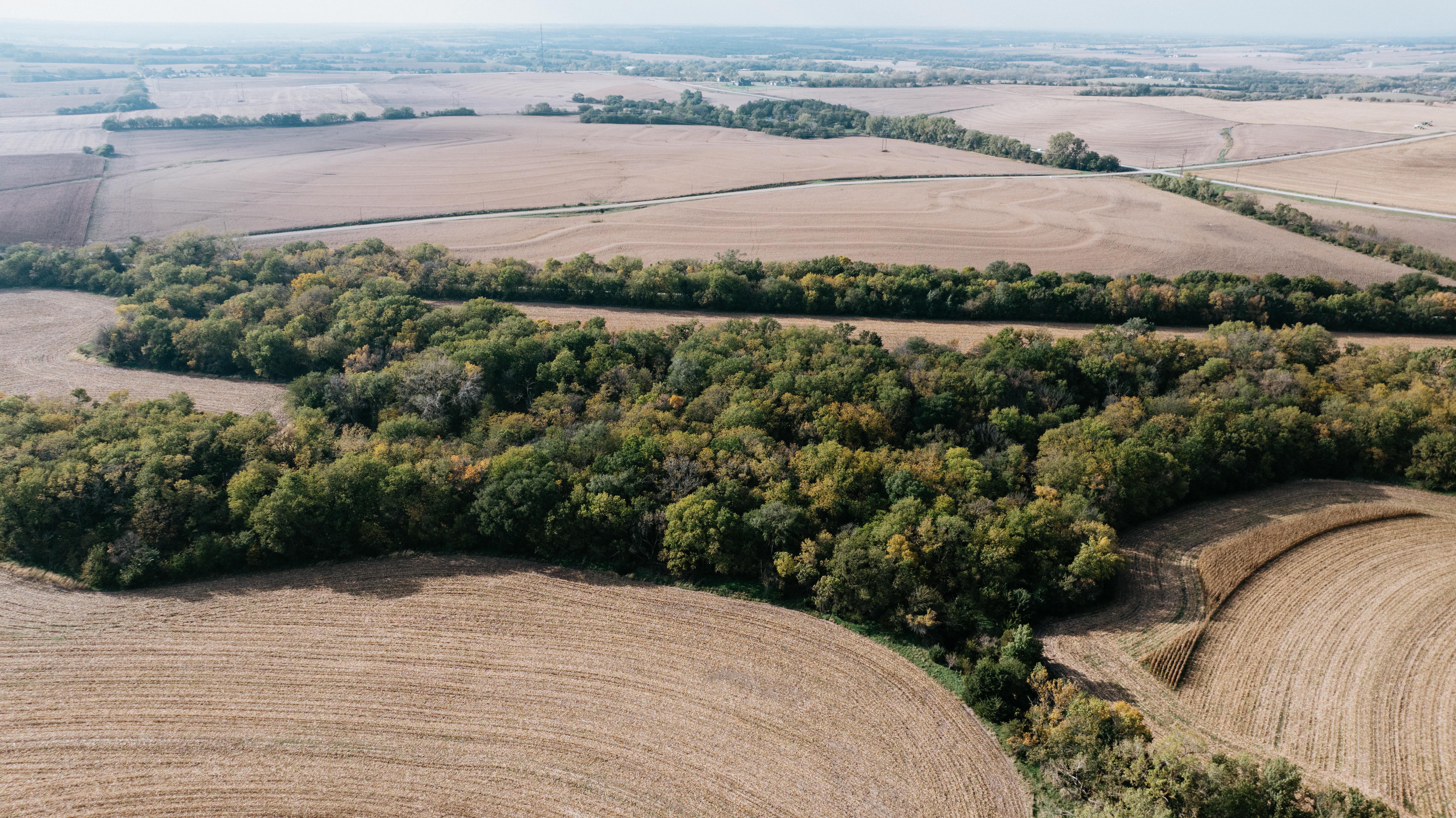 Hickman, NE 68372 - image 17