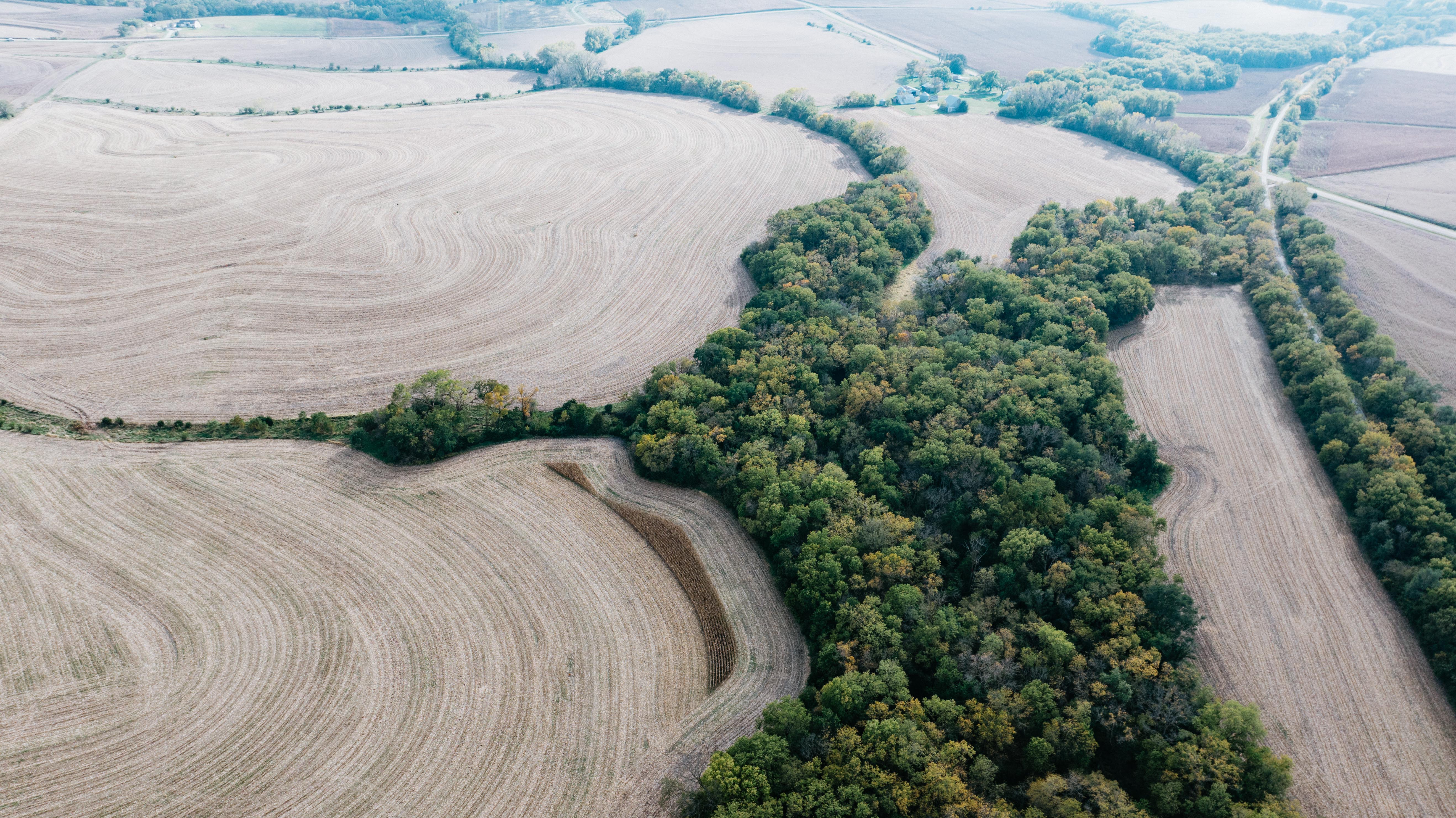 Hickman, NE 68372 - image 11