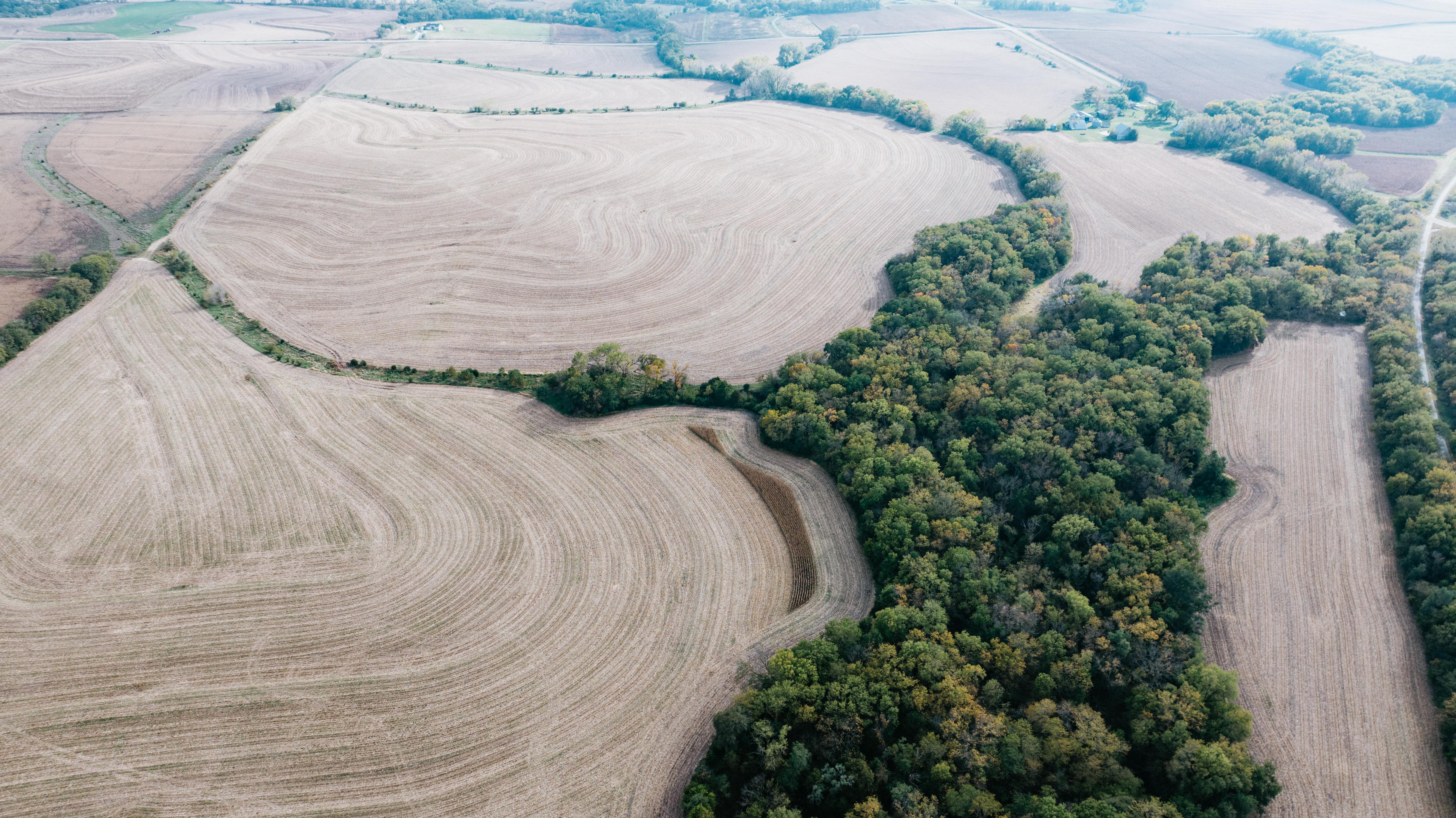 Hickman, NE 68372 - image 10
