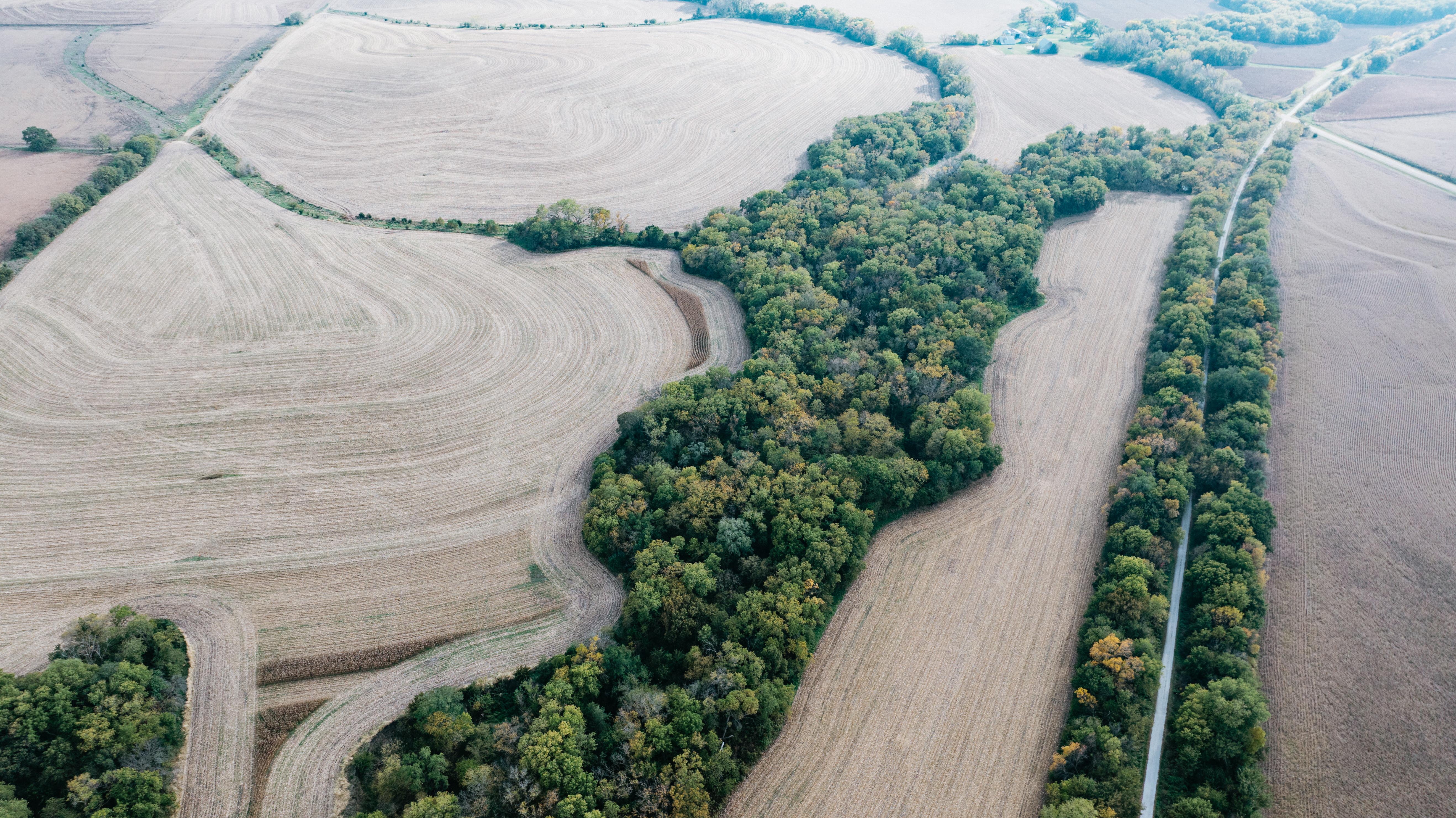 Hickman, NE 68372 - image 9