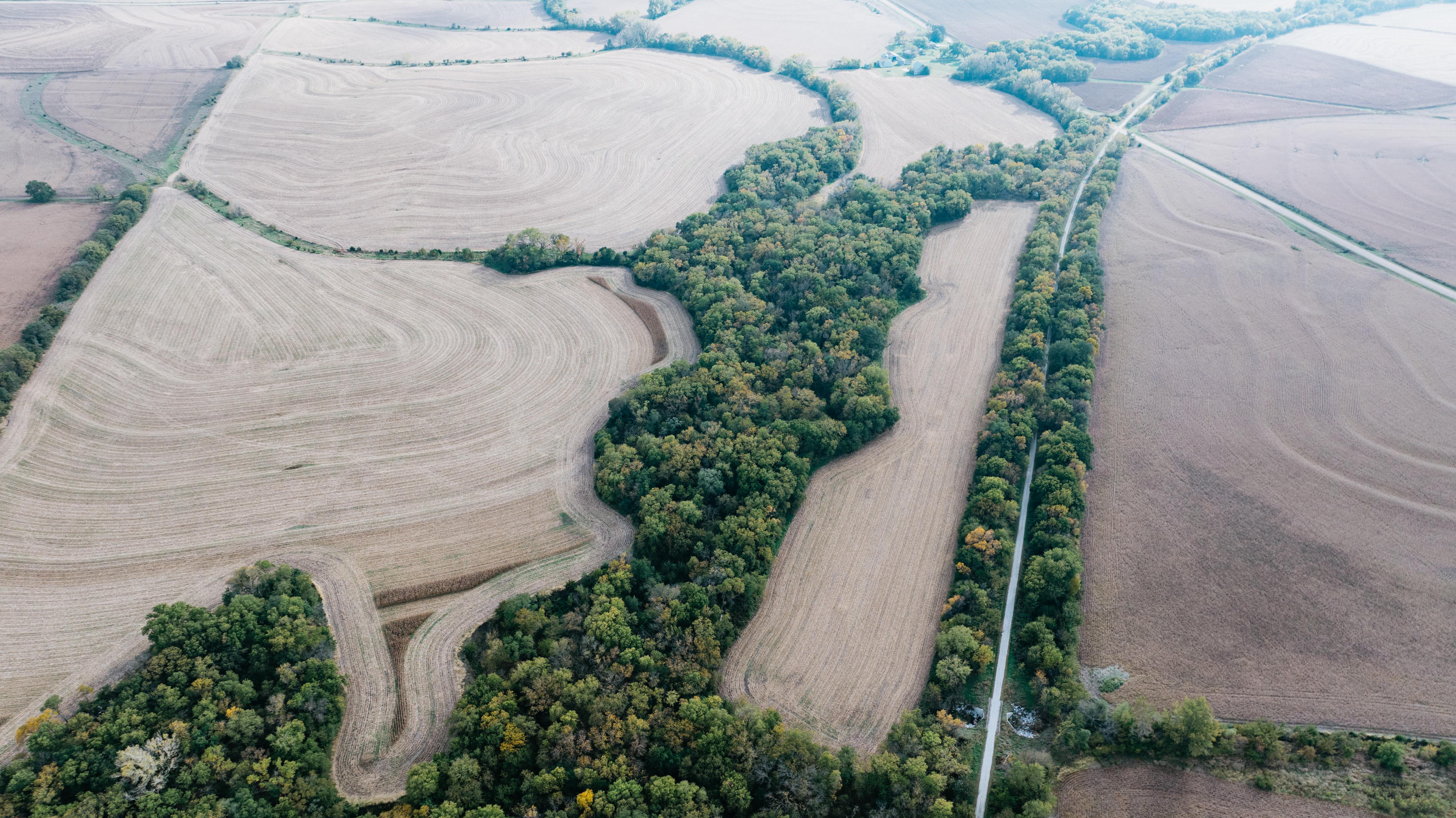 Hickman, NE 68372 - image 7