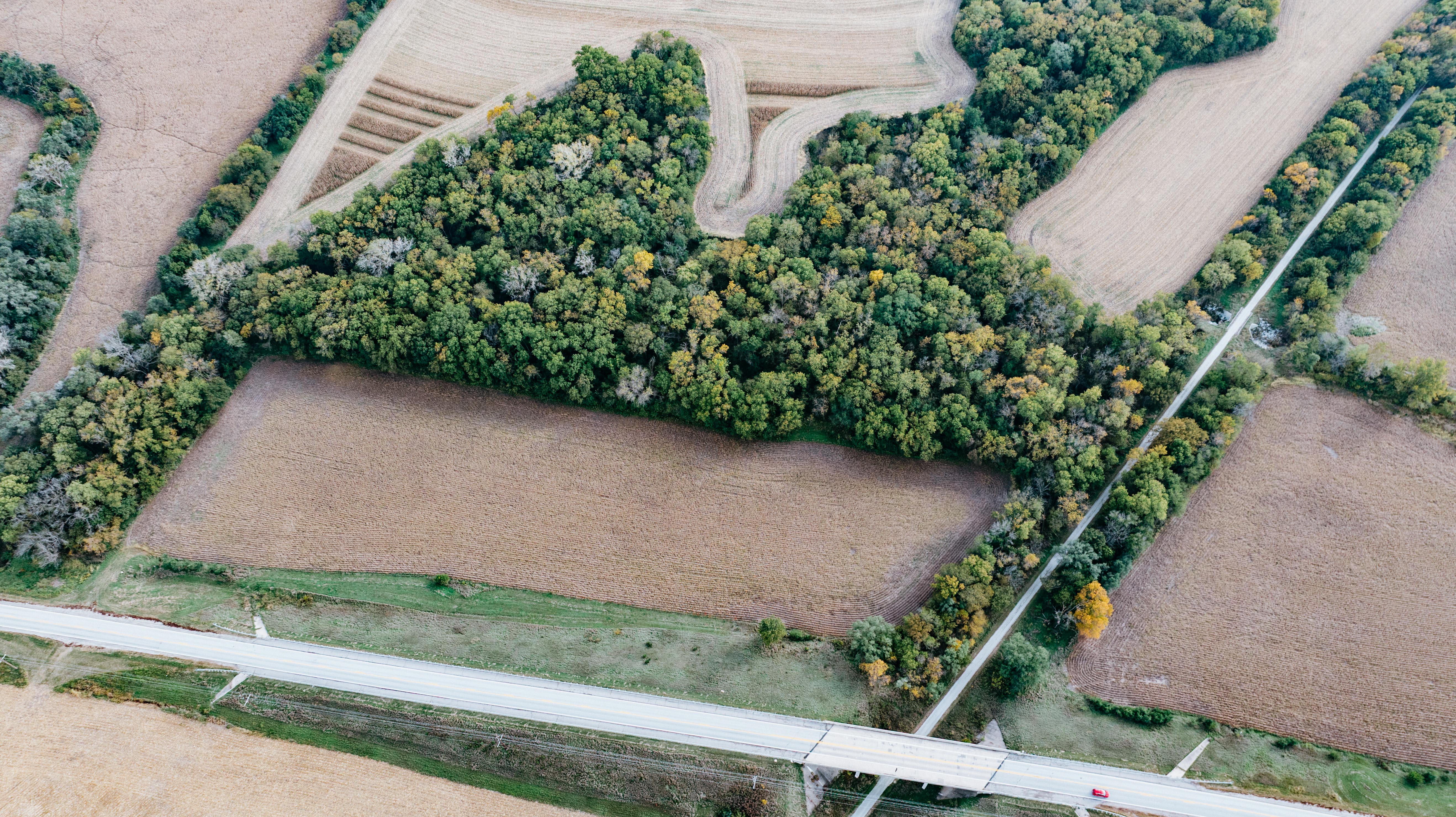 Hickman, NE 68372 - image 6