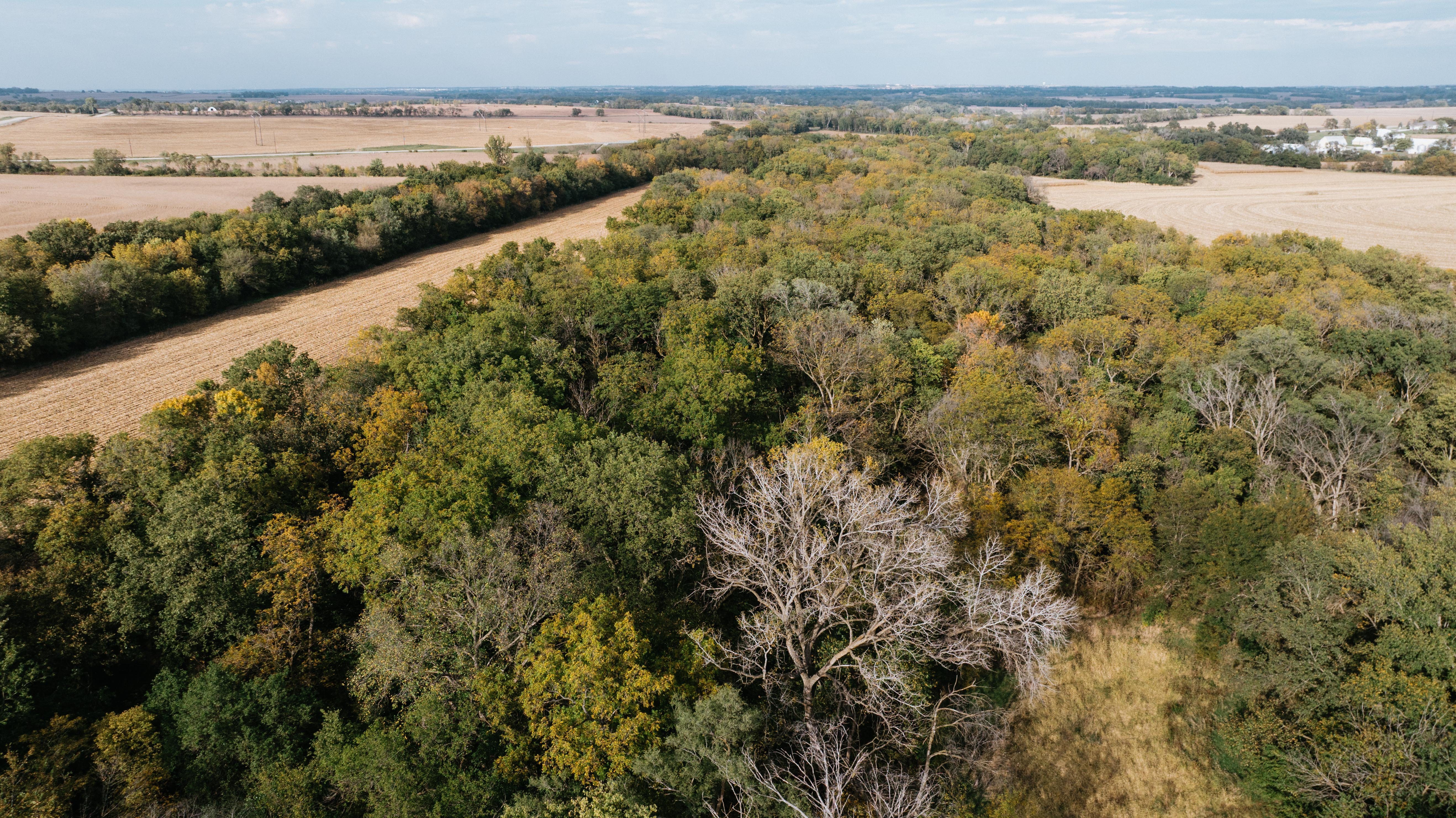 Hickman, NE 68372 - image 26