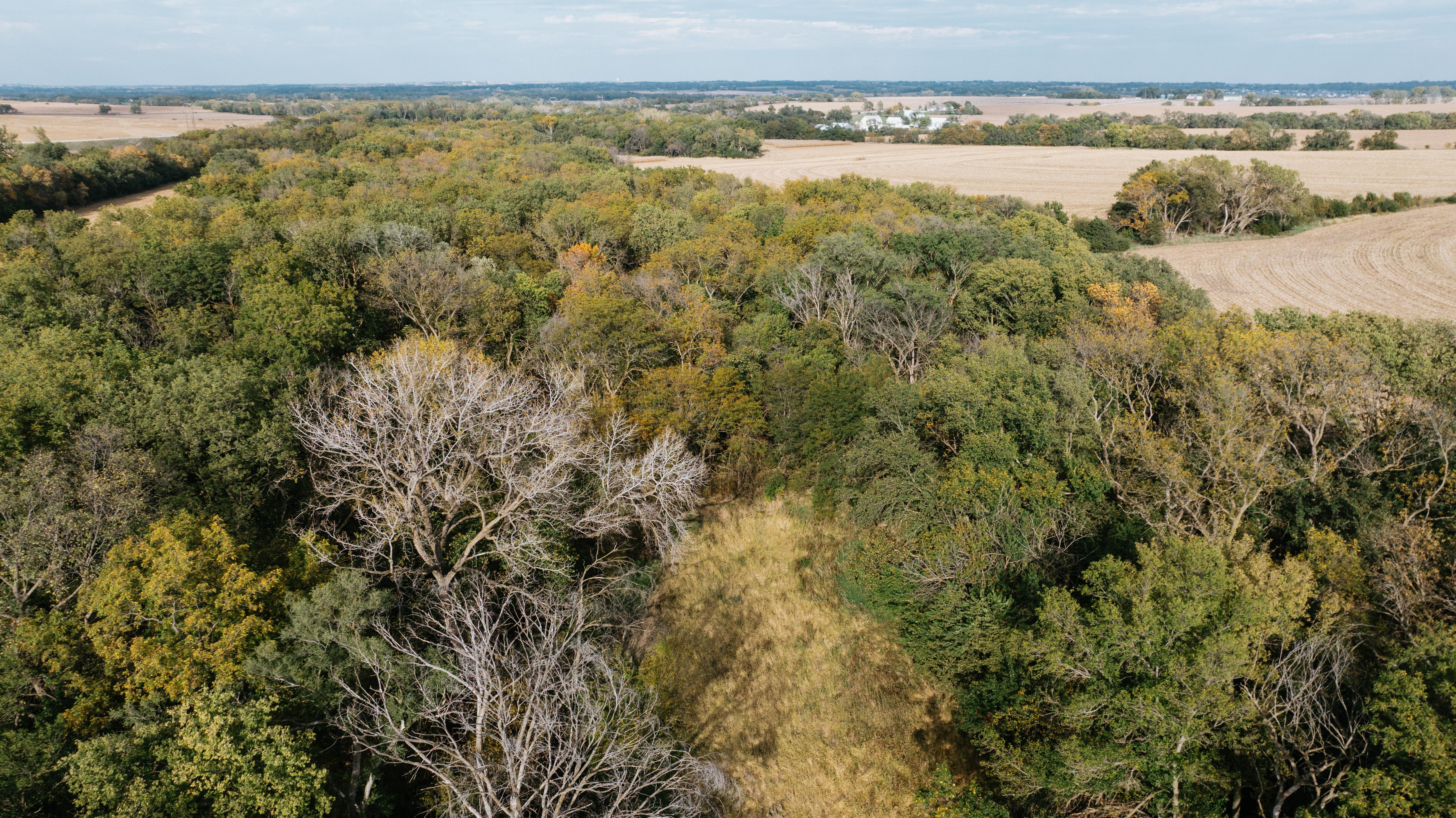 Hickman, NE 68372 - image 25