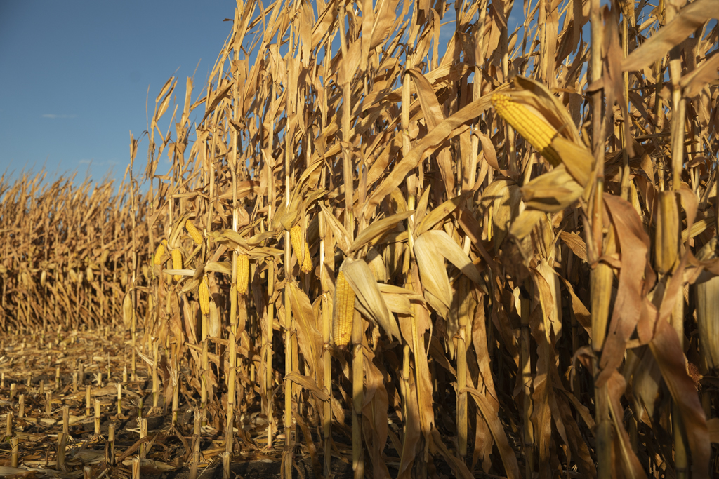 Madison, SD 57042 - image 38