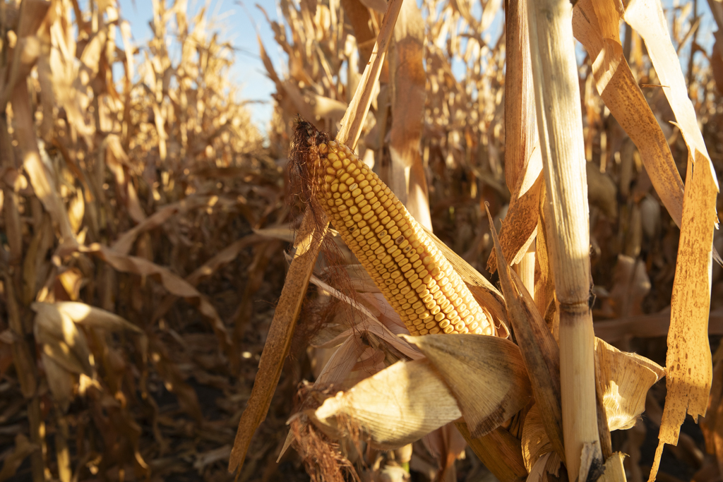 Madison, SD 57042 - image 36