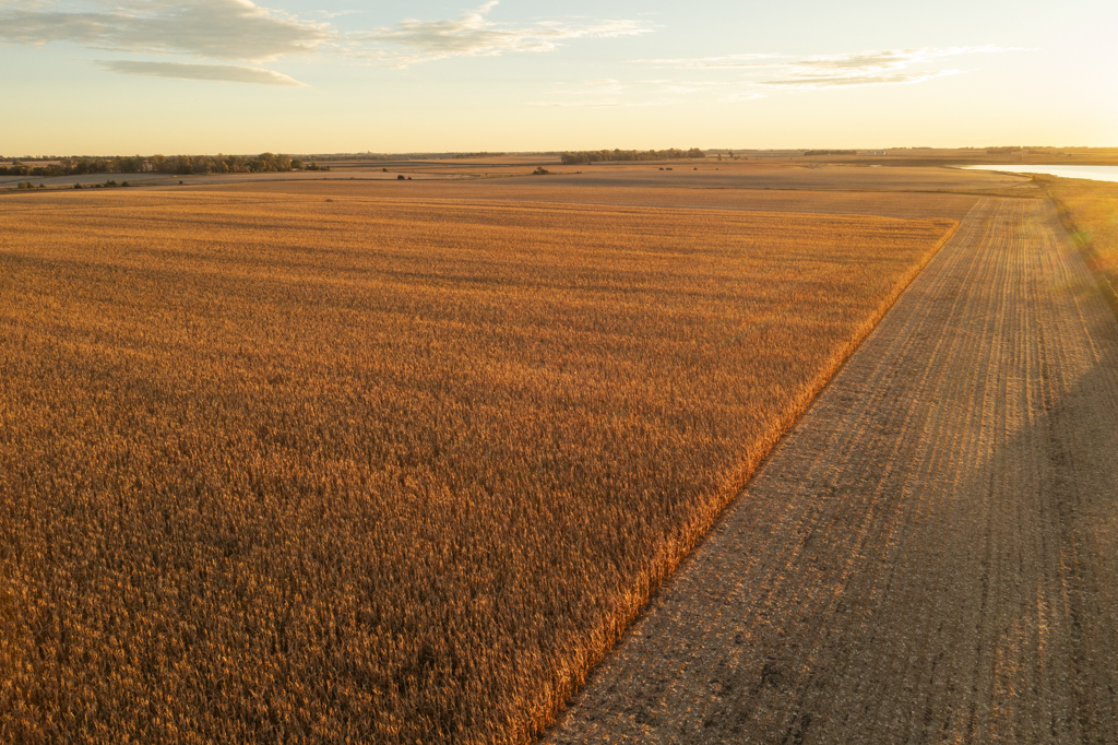 Madison, SD 57042 - image 33