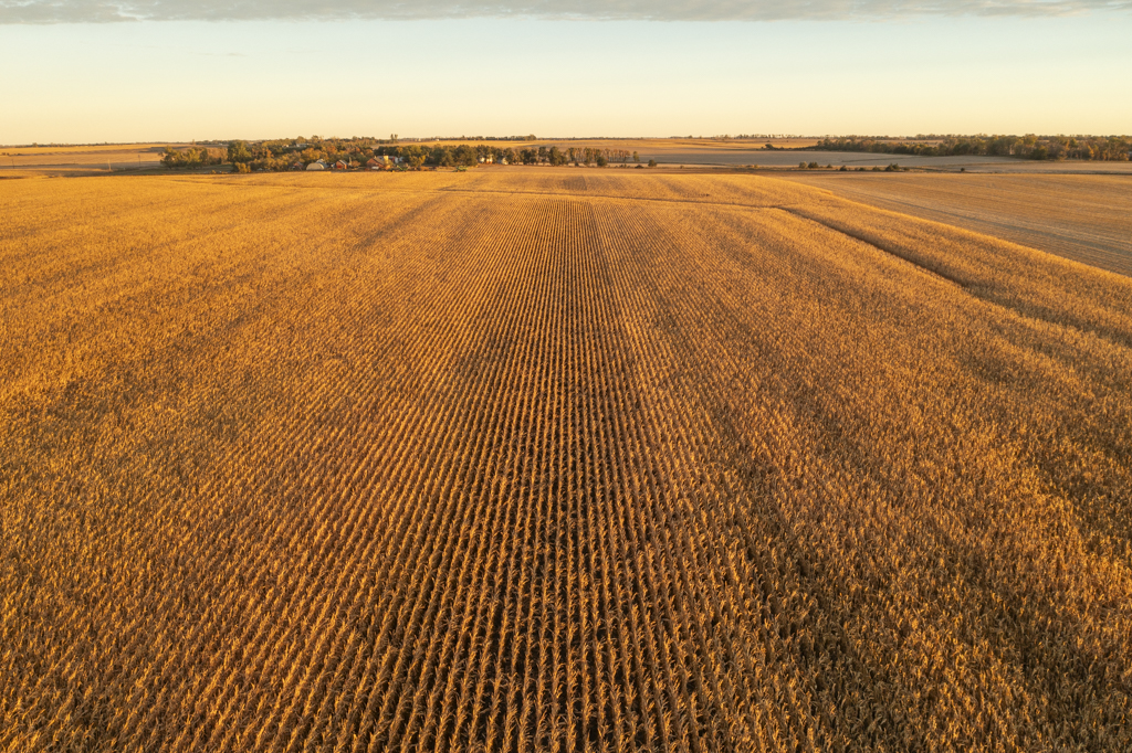 Madison, SD 57042 - image 32