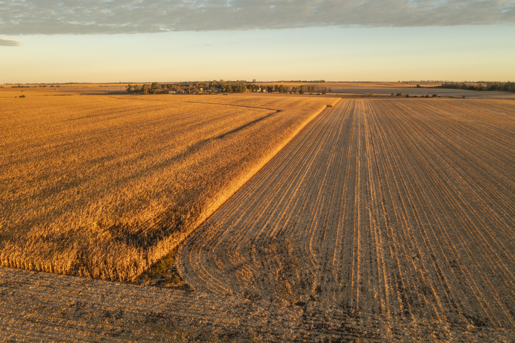 Madison, SD 57042 - image 30
