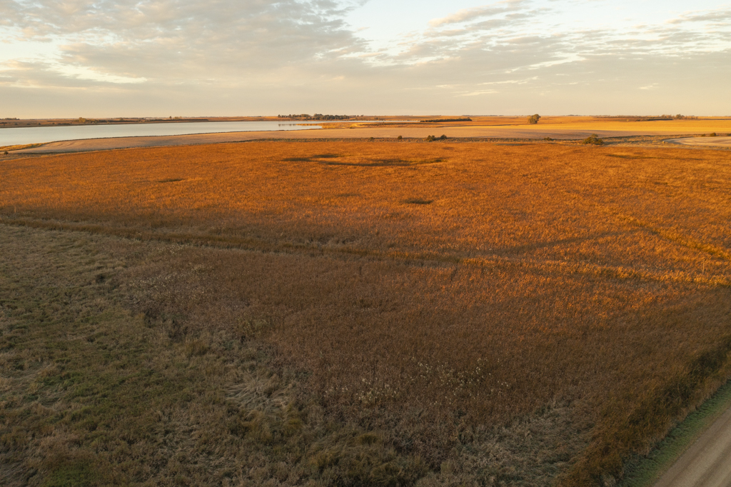 Madison, SD 57042 - image 17