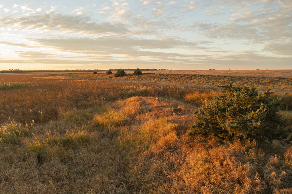 Madison, SD 57042 - image 16