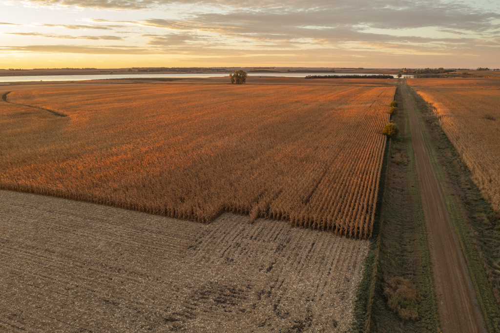 Madison, SD 57042 - image 6