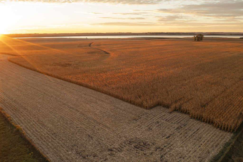 Madison, SD 57042 - image 5