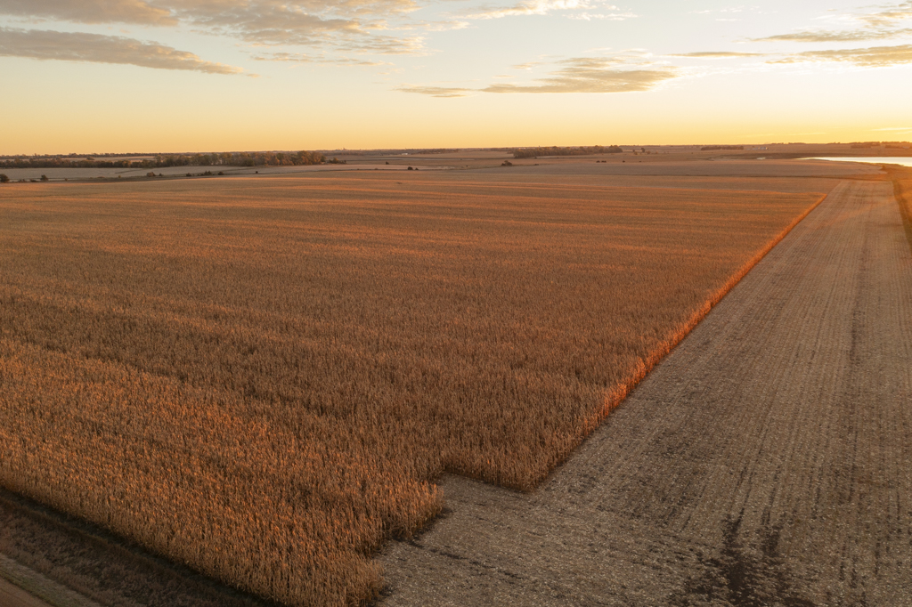 Madison, SD 57042 - image 4