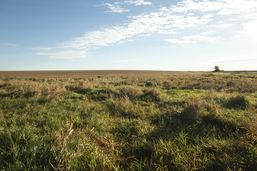 Madison, SD 57042 - image 42