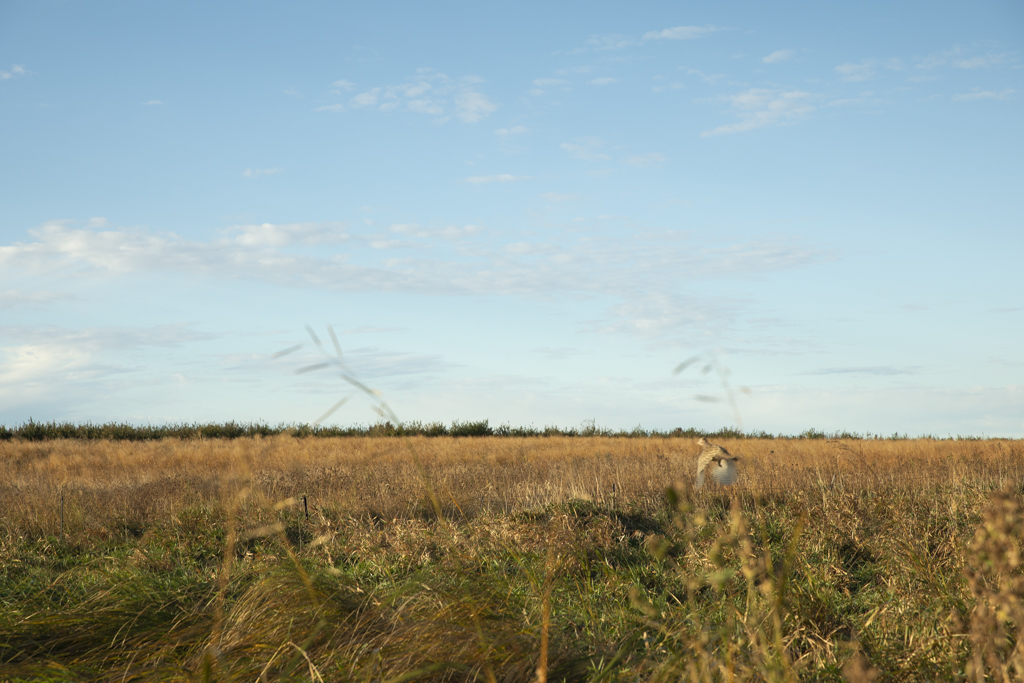 Madison, SD 57042 - image 41