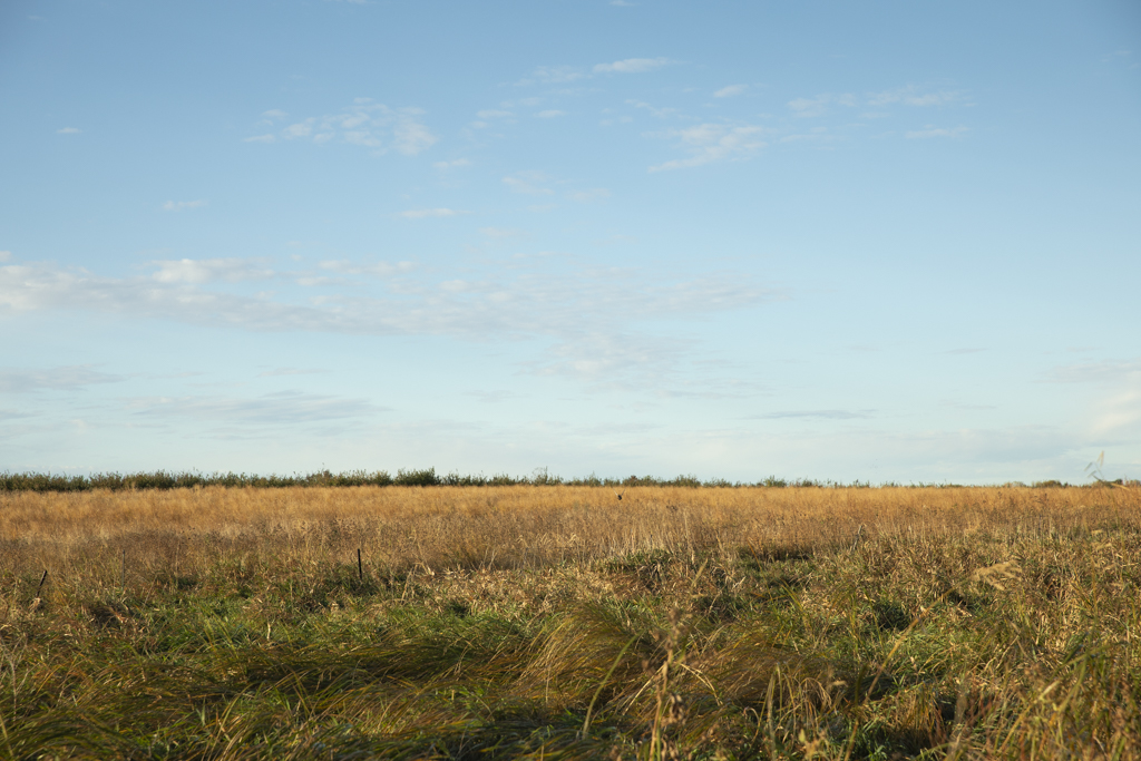 Madison, SD 57042 - image 40