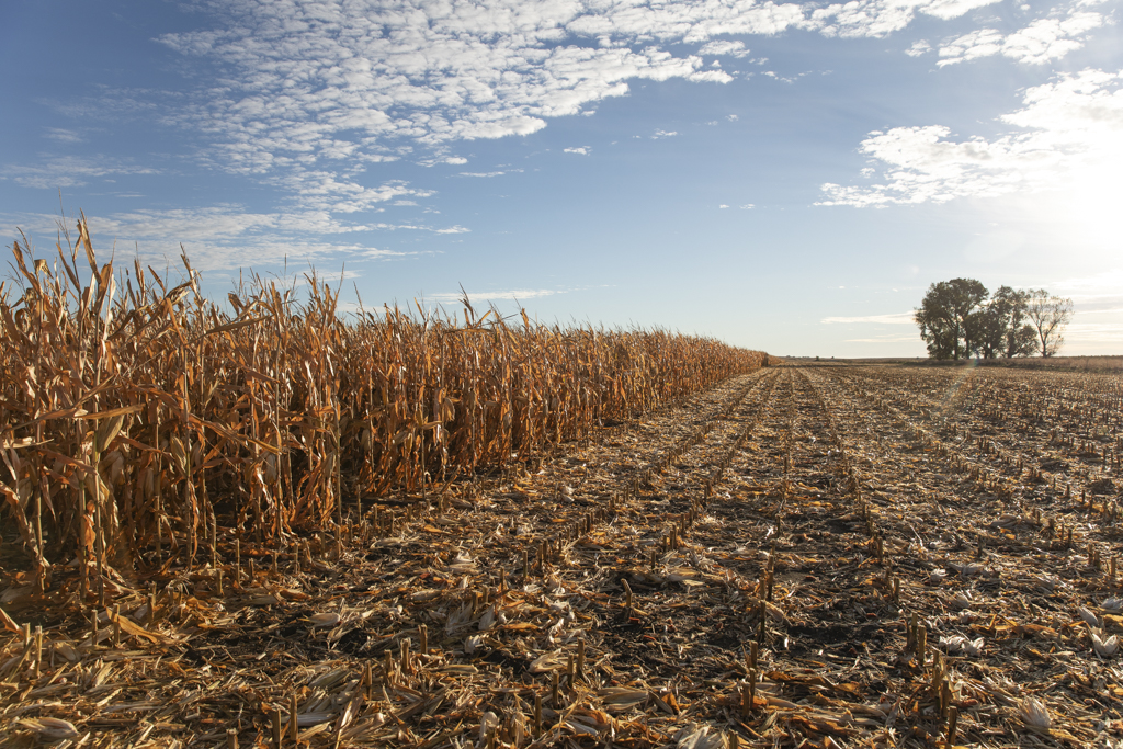 Madison, SD 57042 - image 39