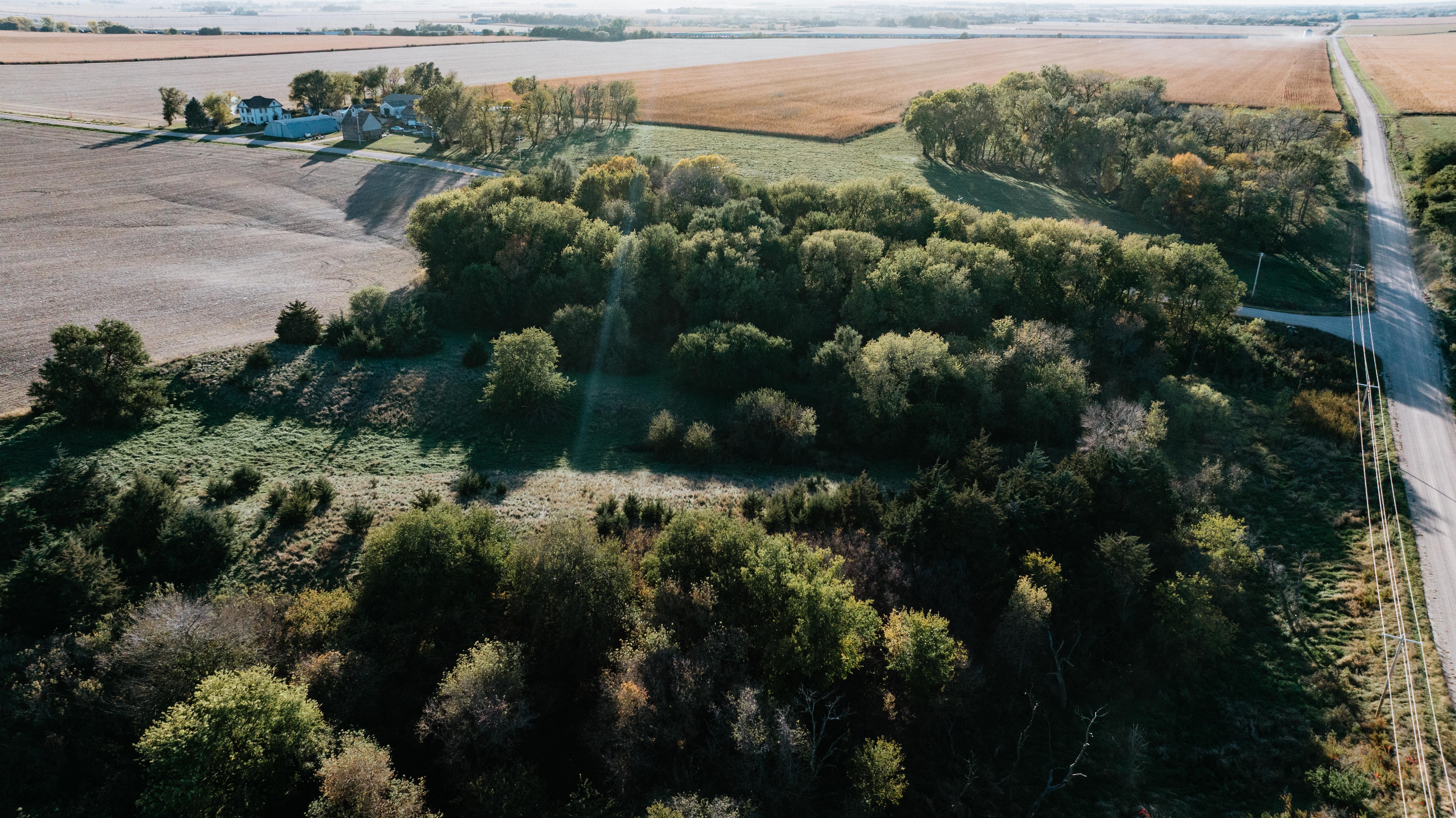 David City, NE 68632 - image 6