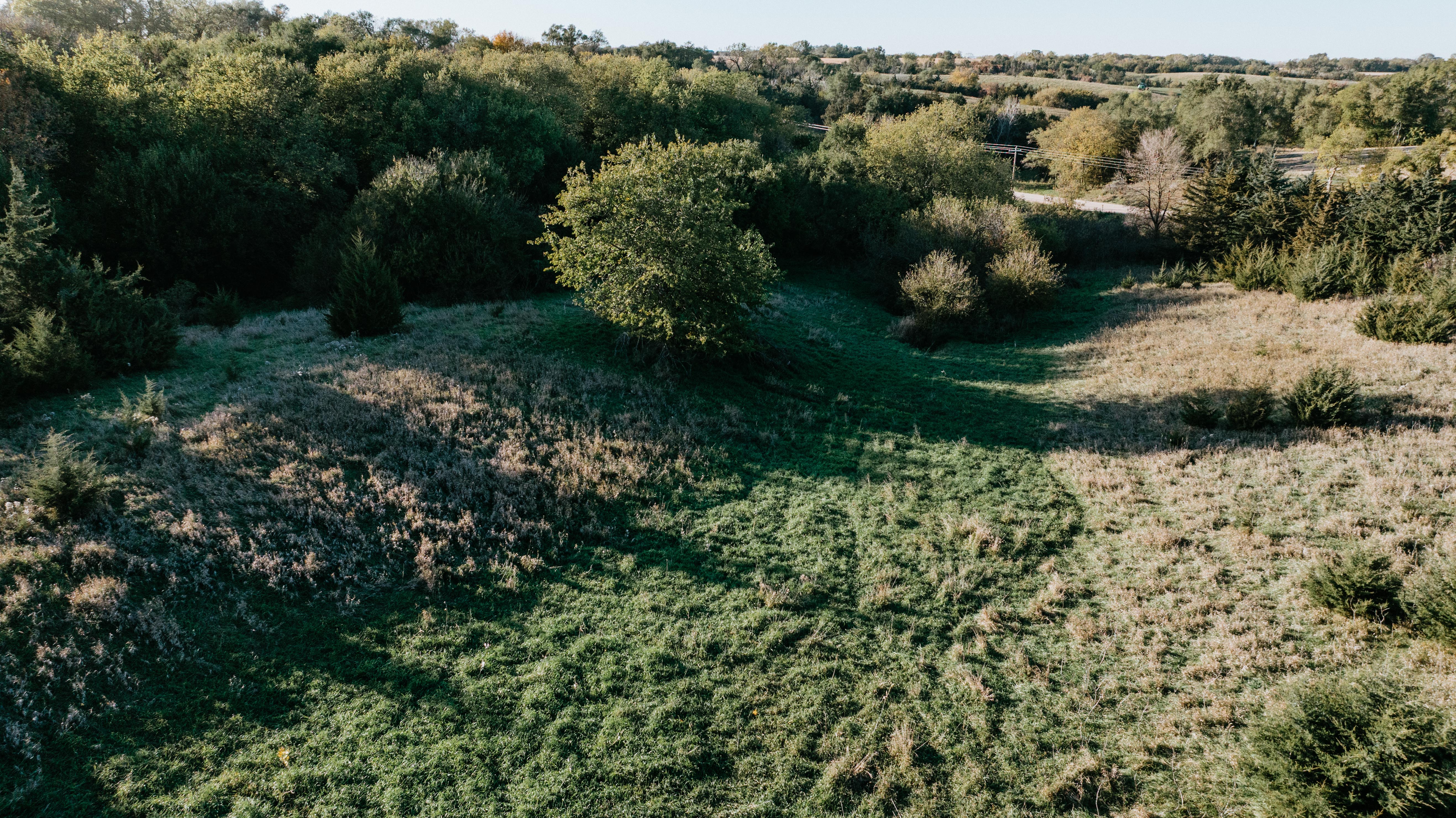 David City, NE 68632 - image 7