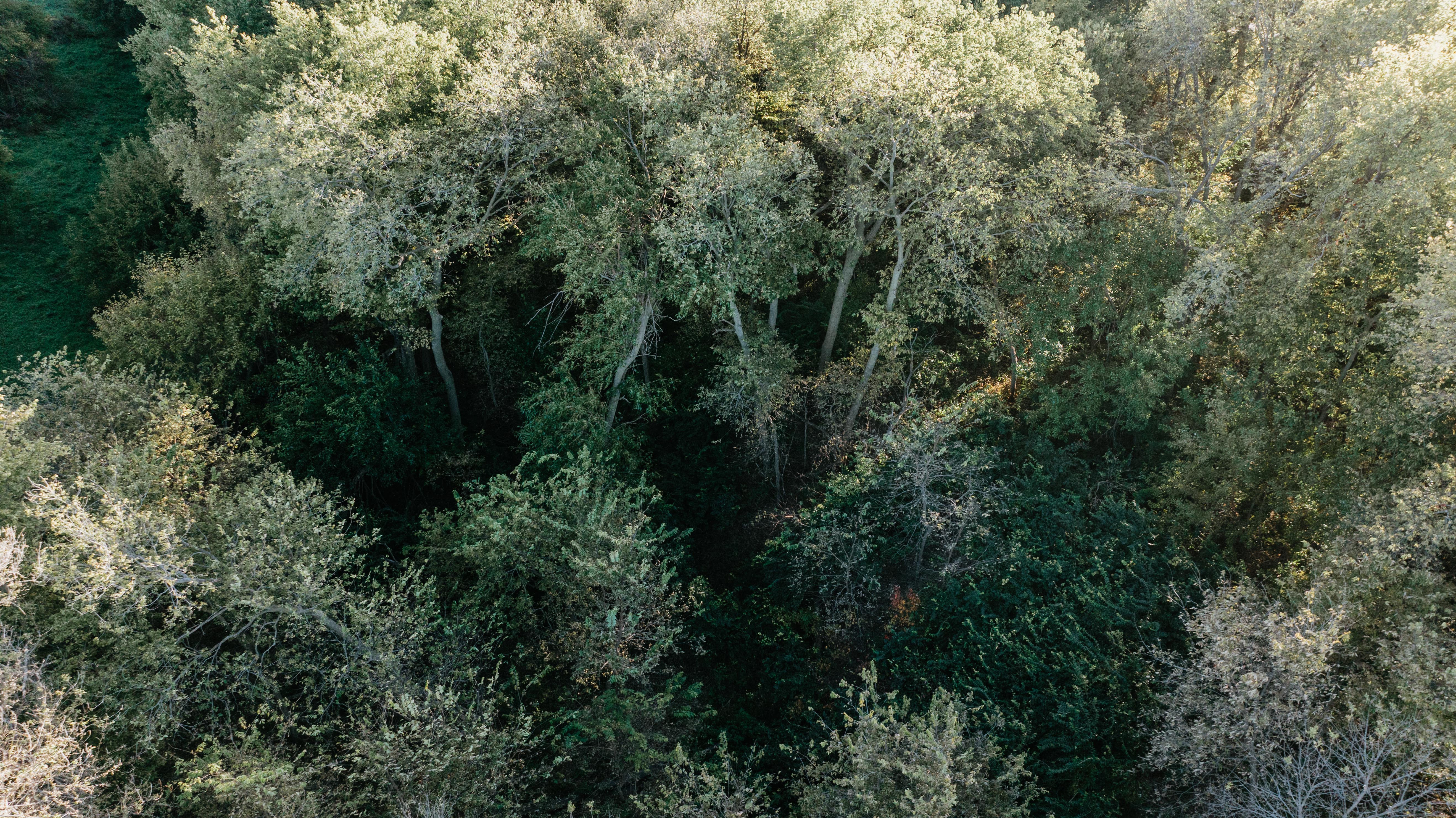 David City, NE 68632 - image 8