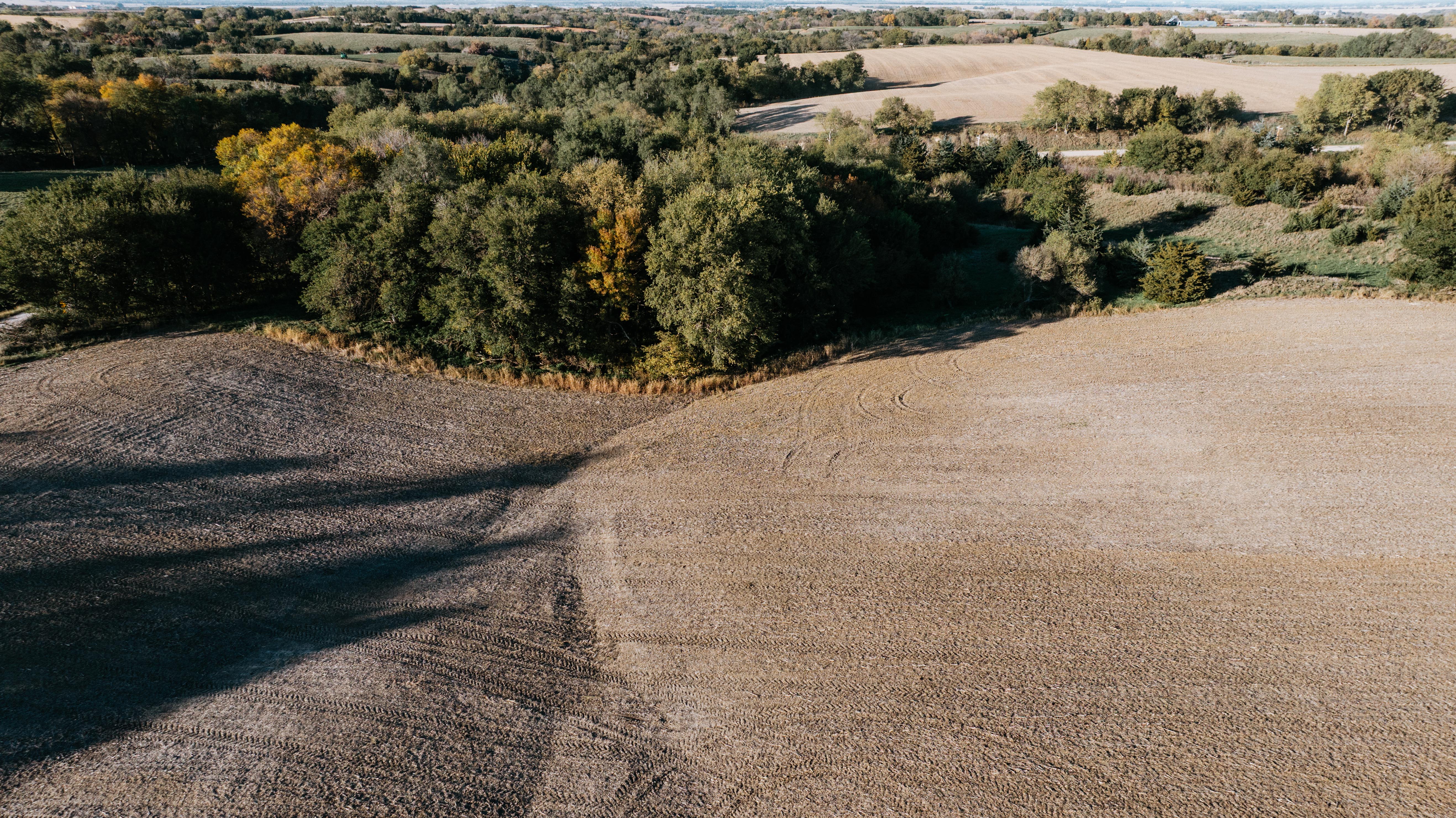 David City, NE 68632 - image 41