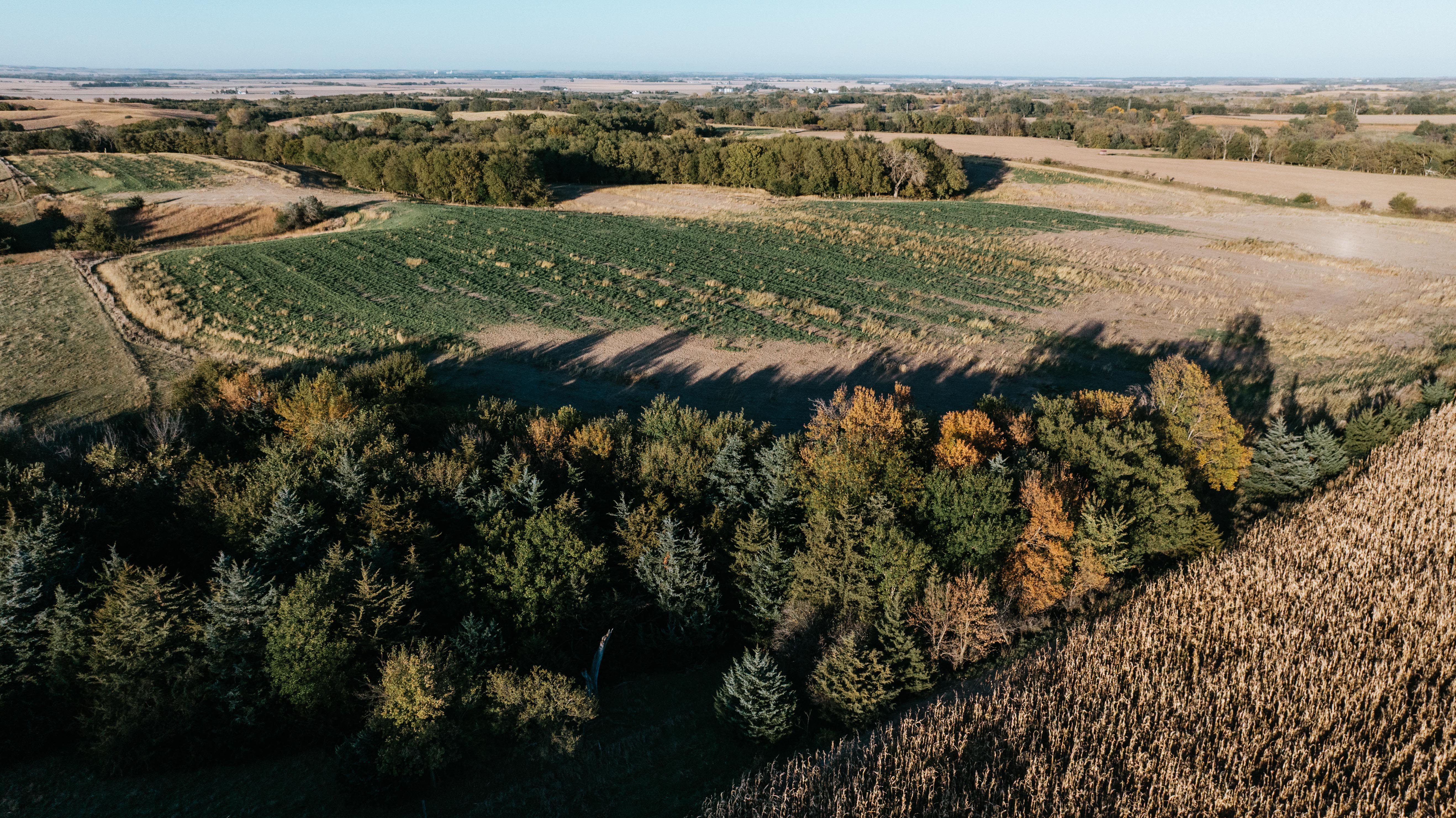 David City, NE 68632 - image 27