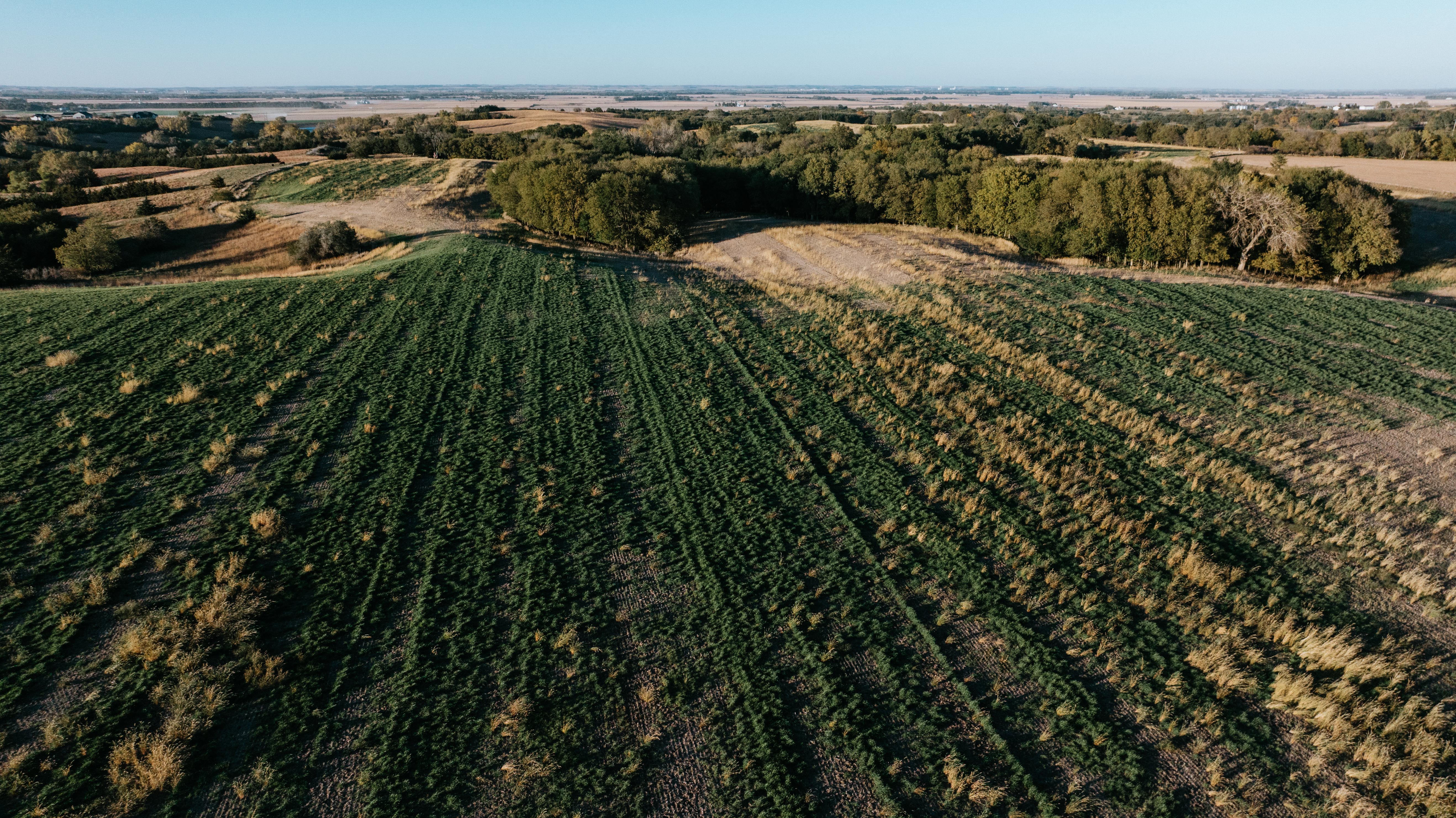 David City, NE 68632 - image 28