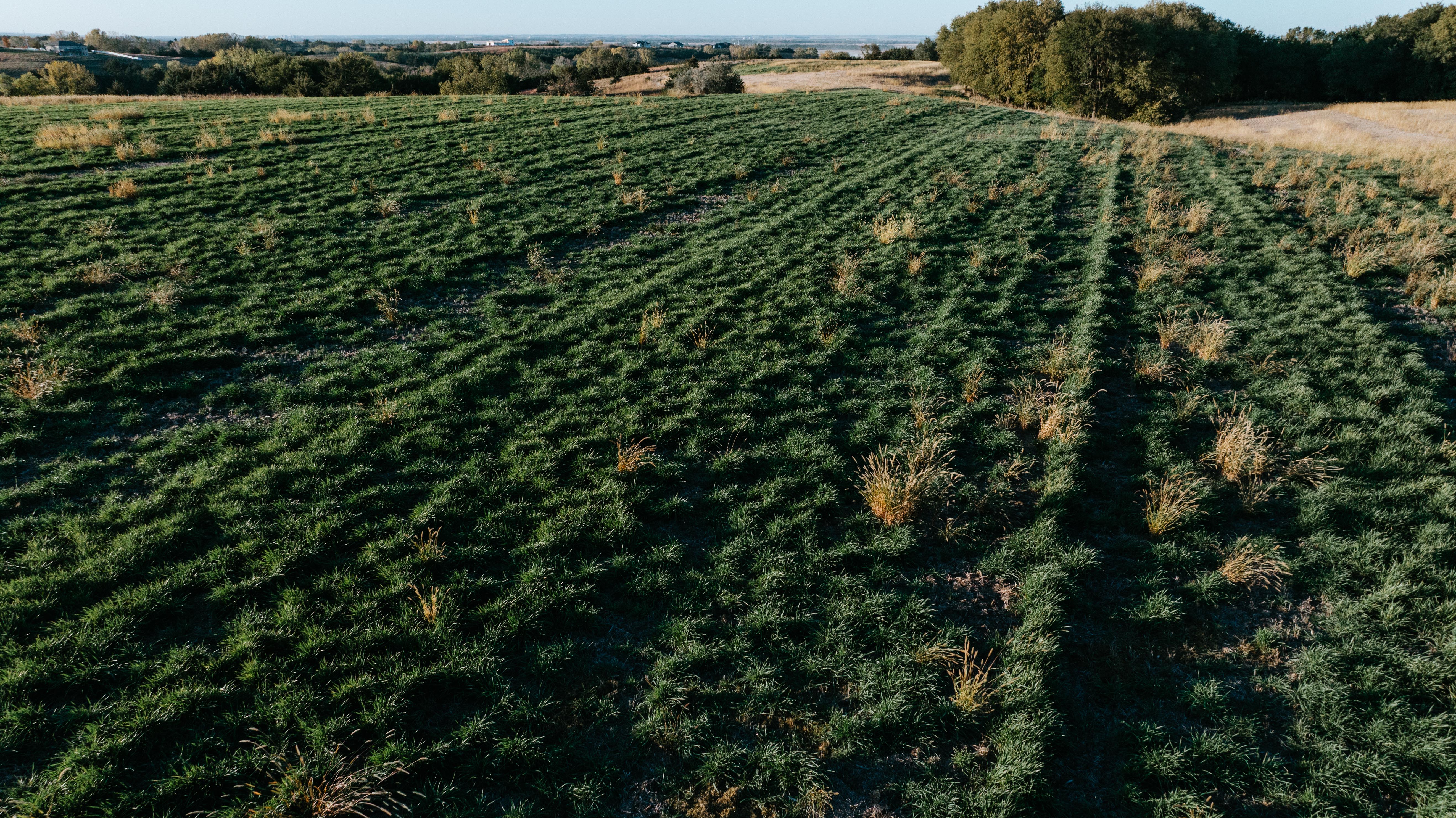 David City, NE 68632 - image 29