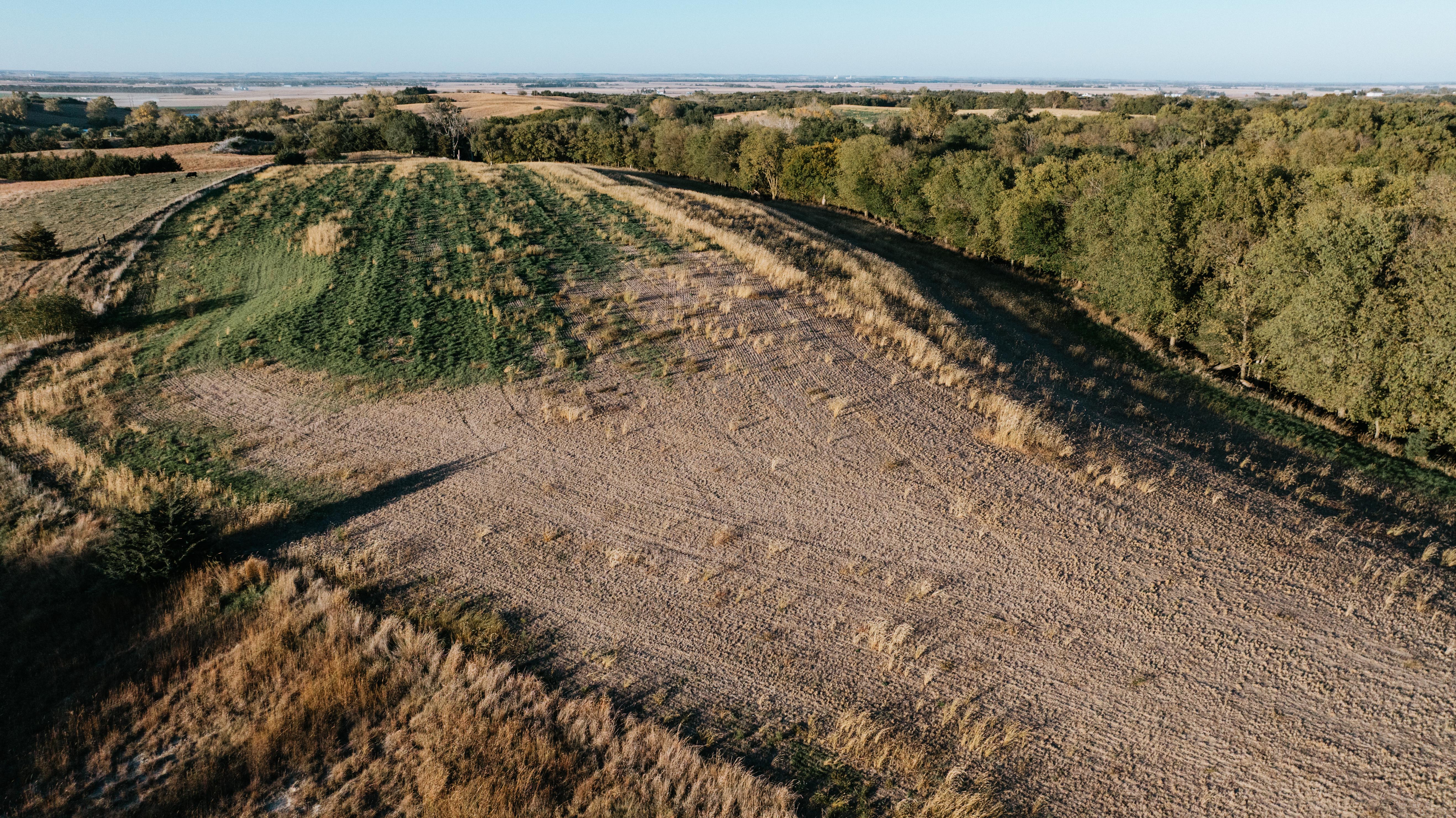 David City, NE 68632 - image 31