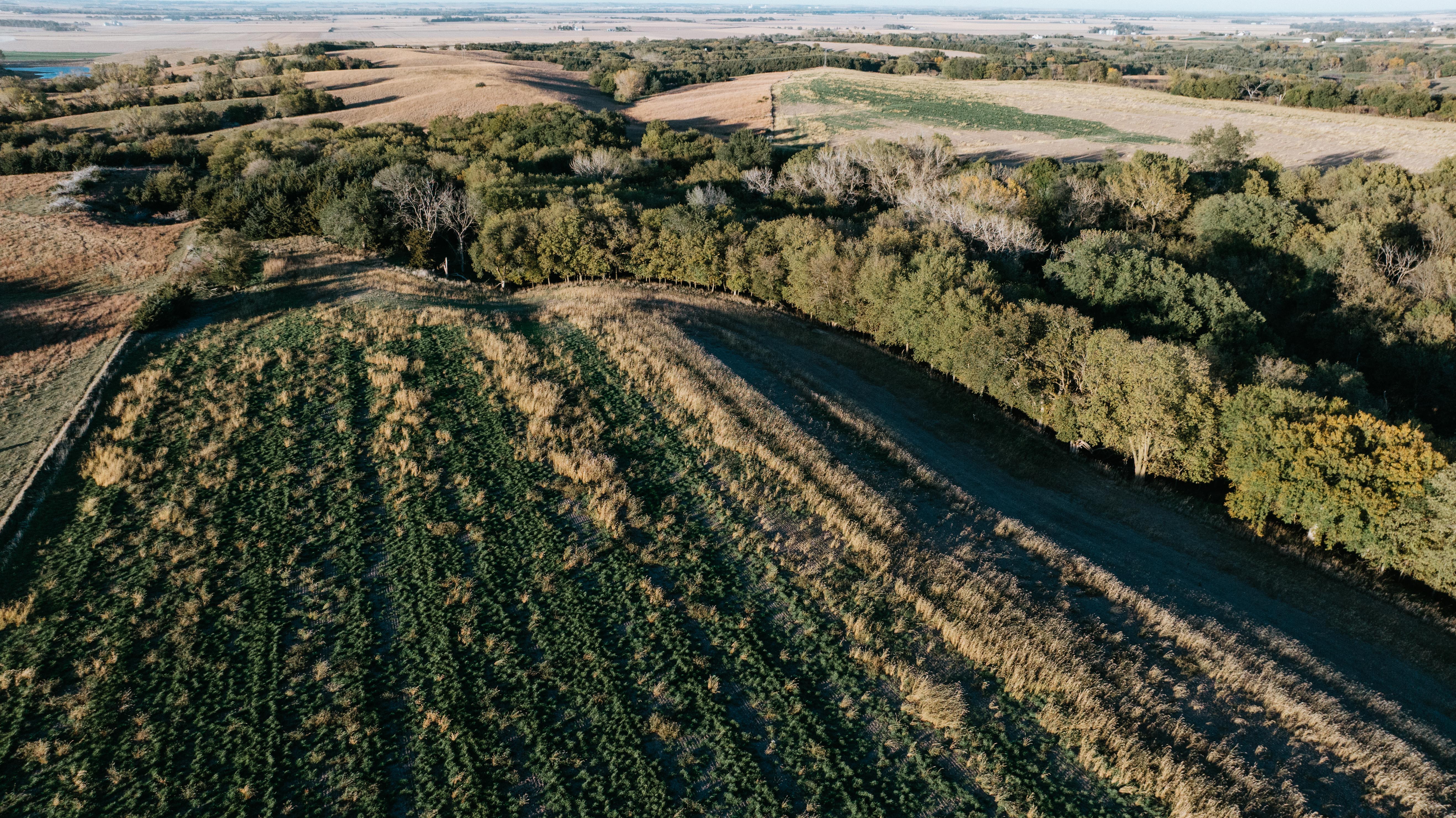 David City, NE 68632 - image 32