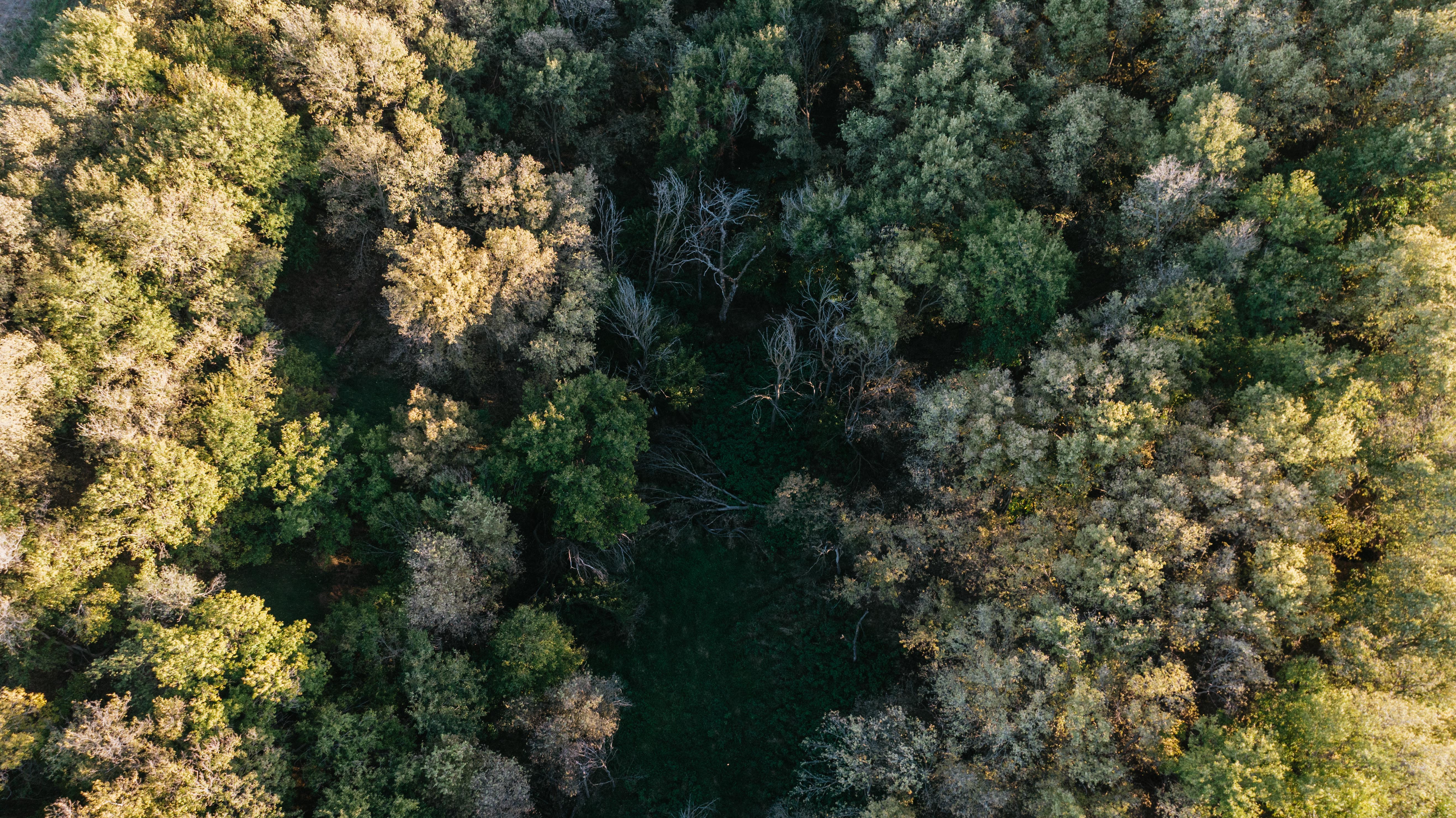 David City, NE 68632 - image 33