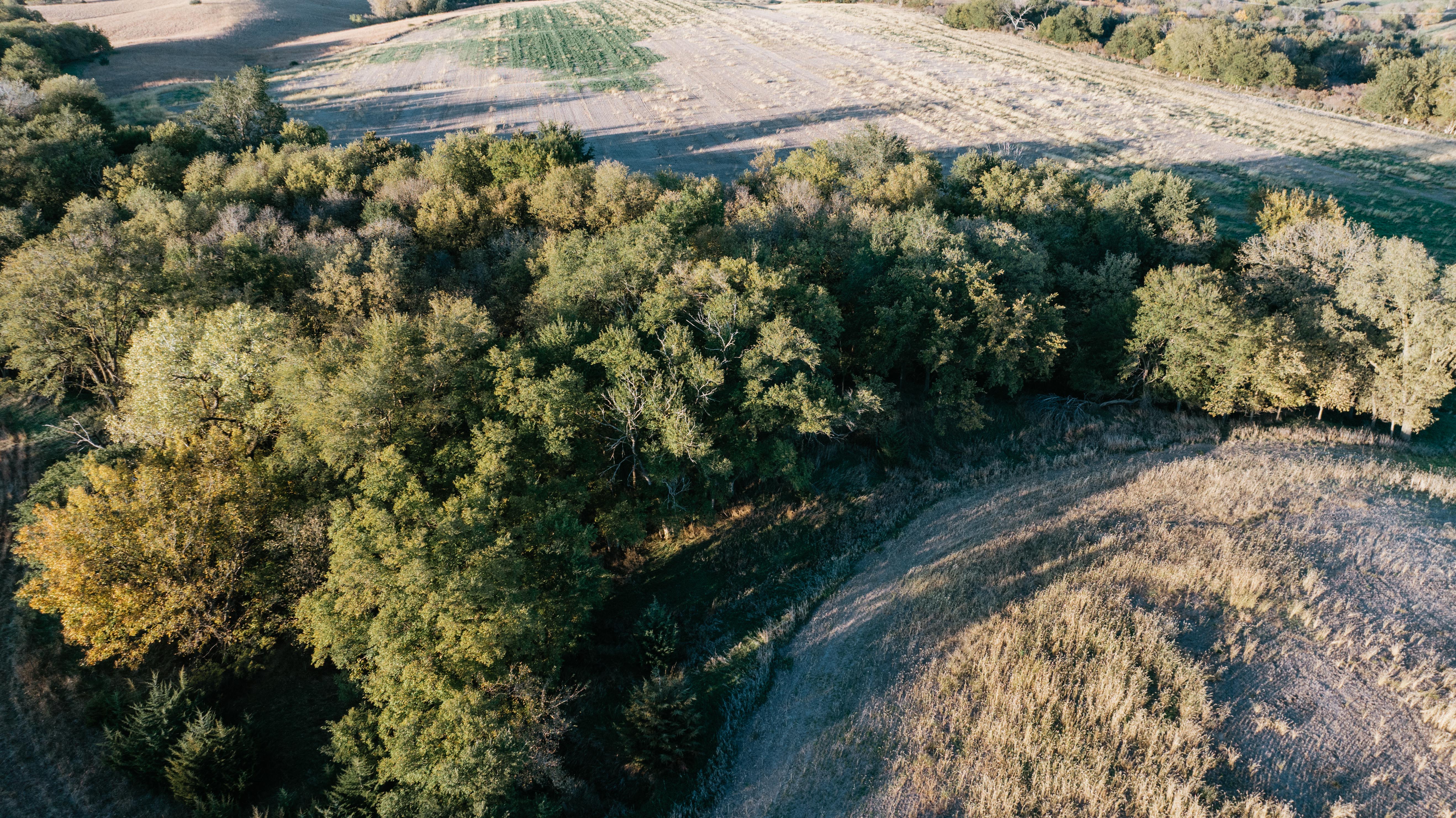 David City, NE 68632 - image 35