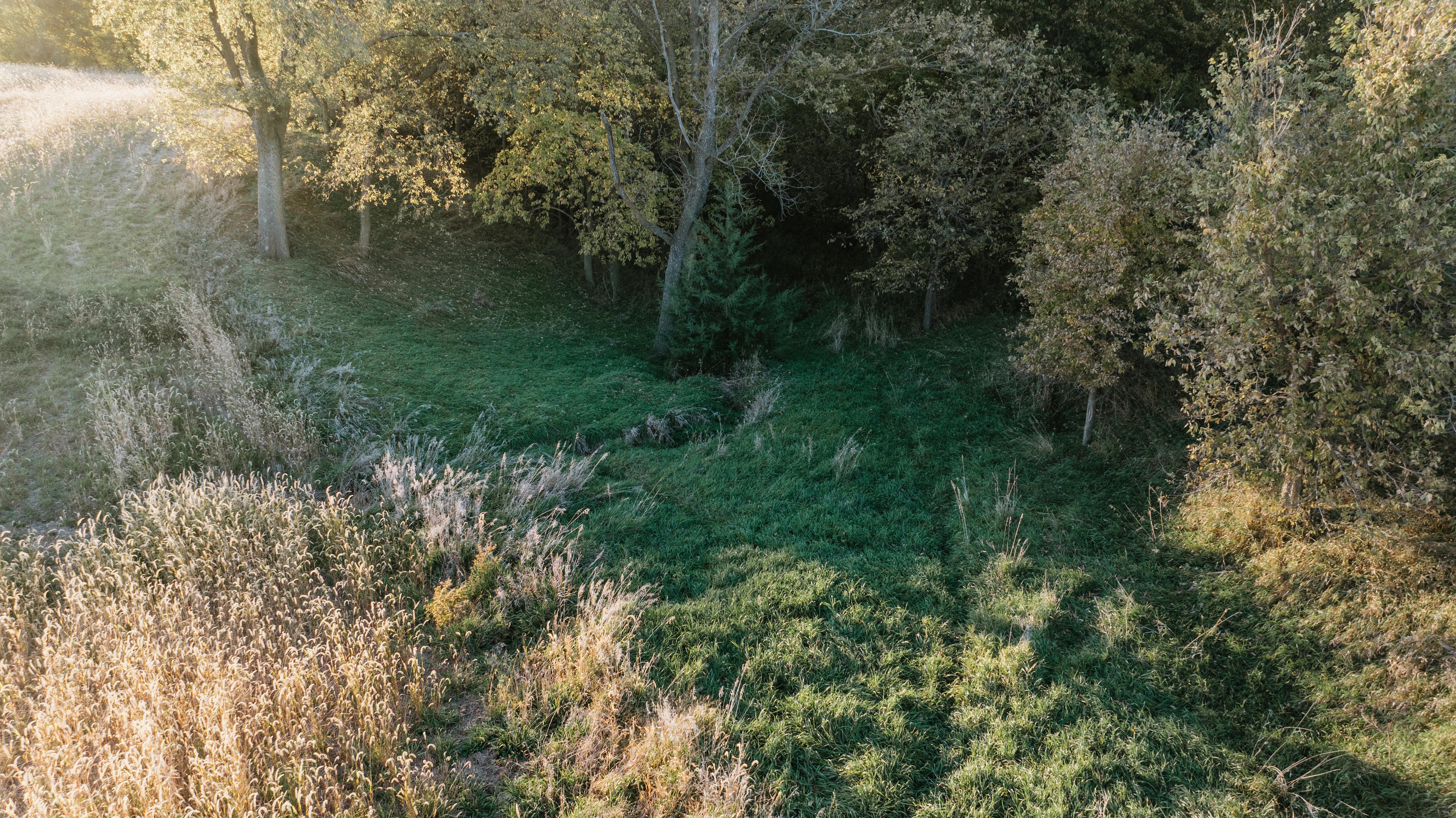 David City, NE 68632 - image 36