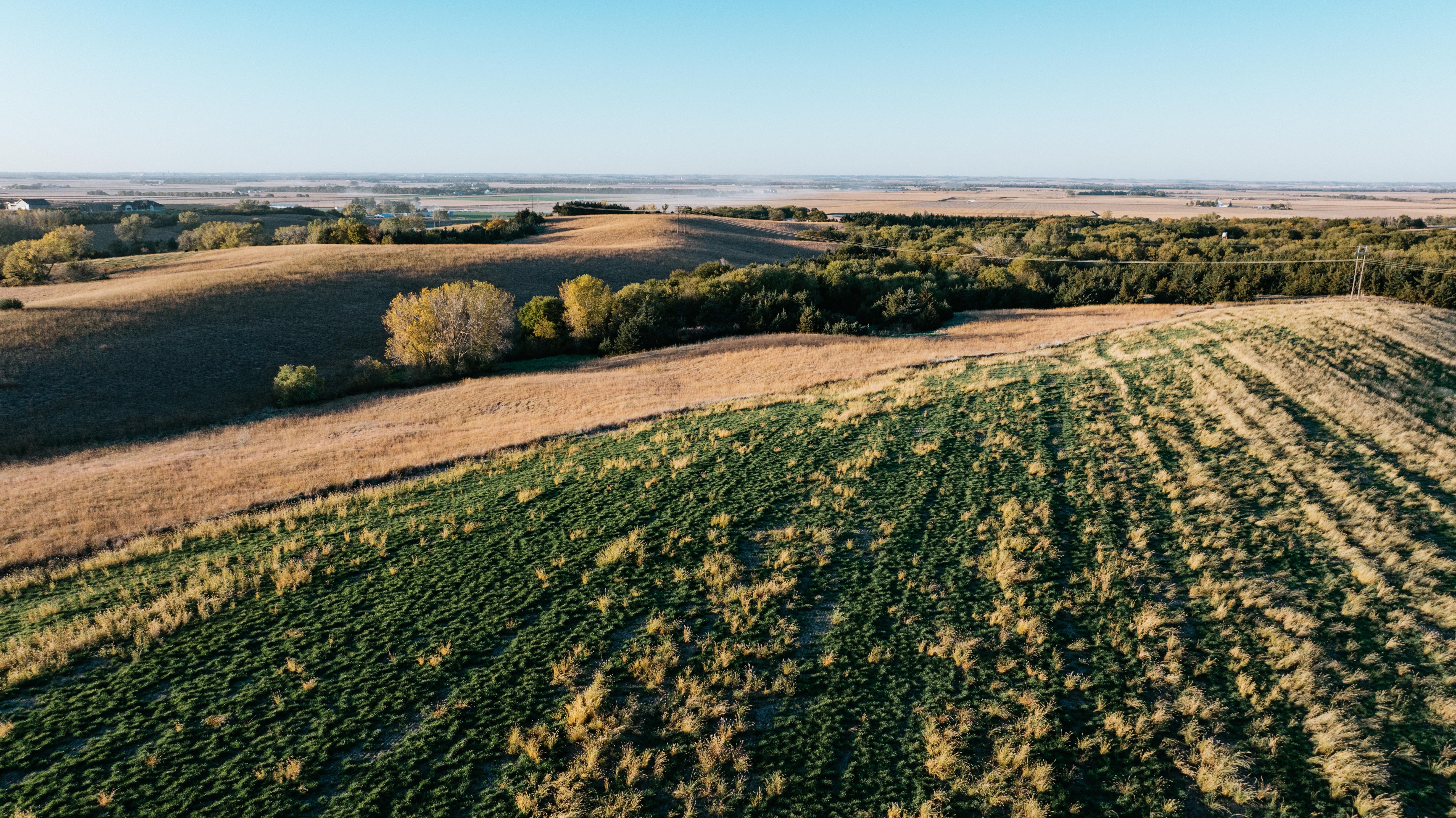 David City, NE 68632 - image 37