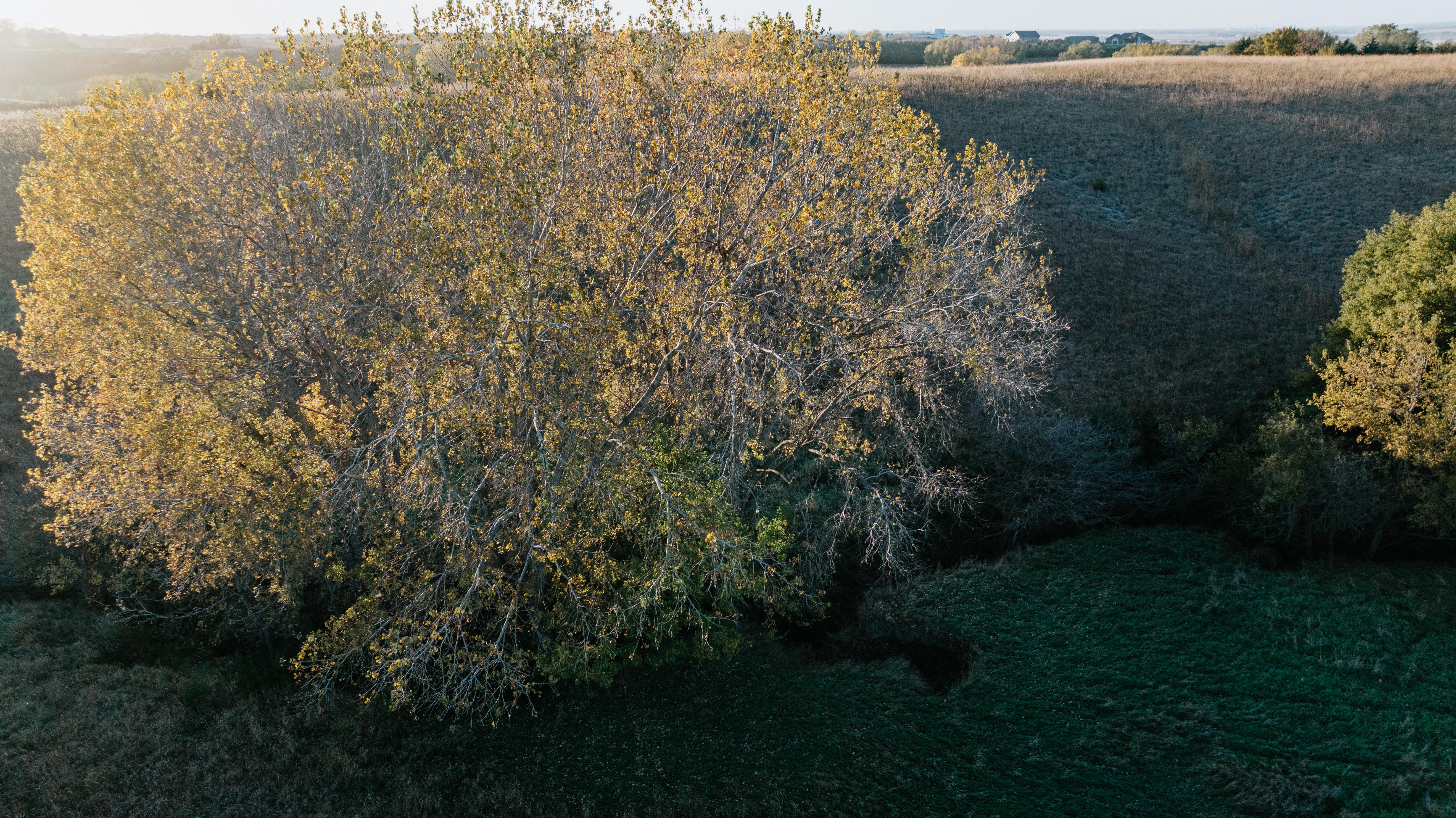 David City, NE 68632 - image 39