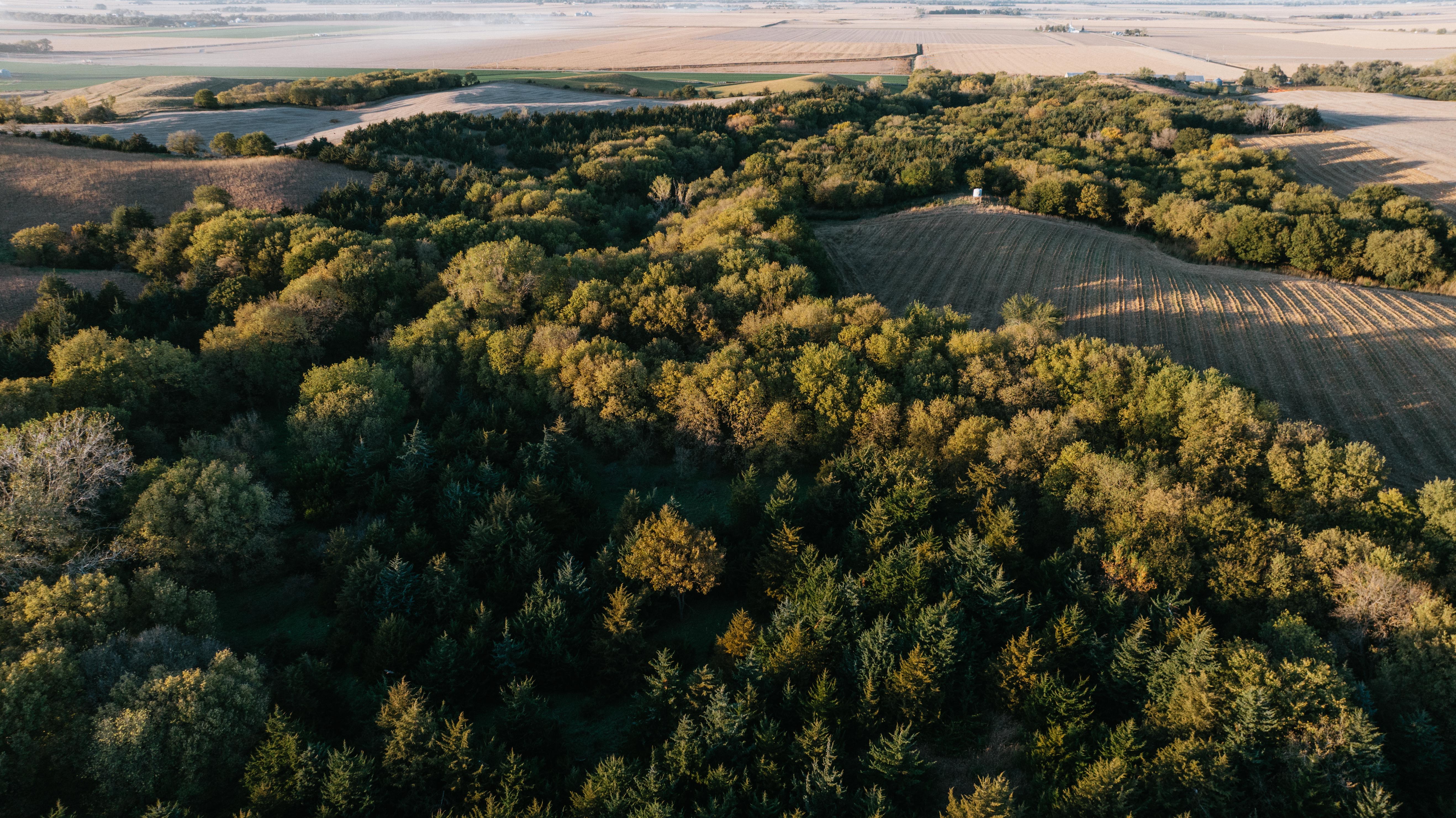 David City, NE 68632 - image 40