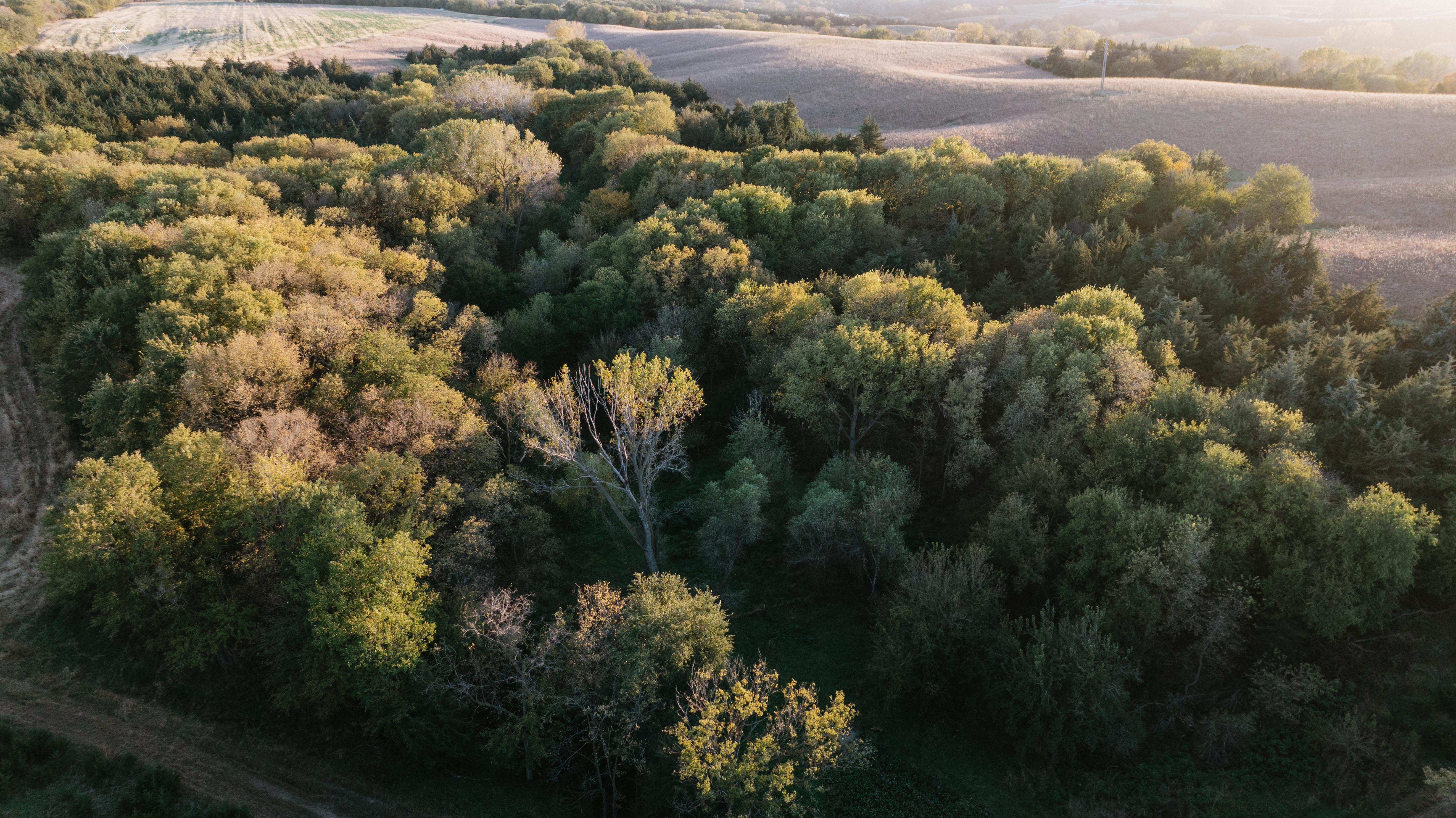 David City, NE 68632 - image 9