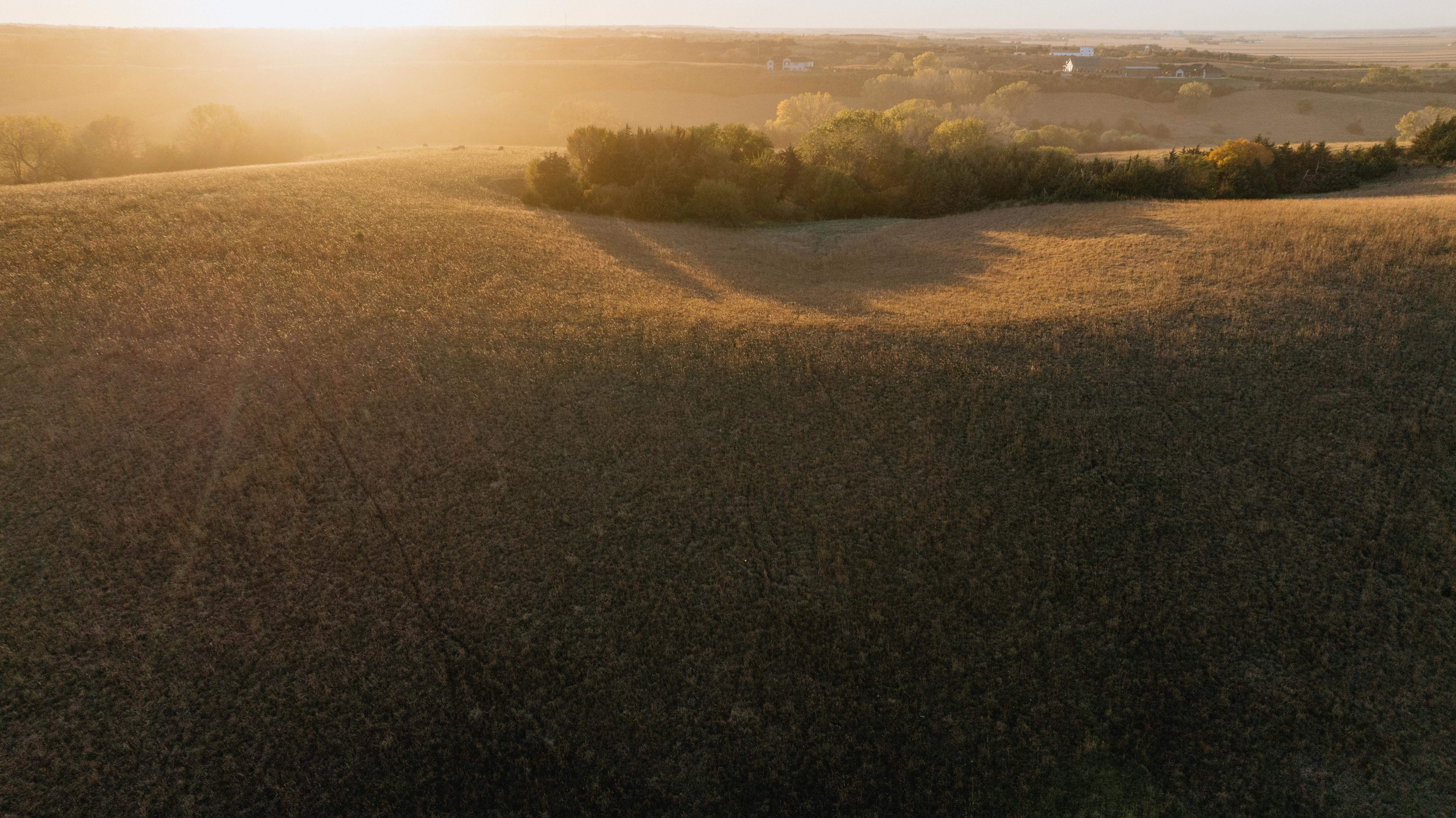 David City, NE 68632 - image 43