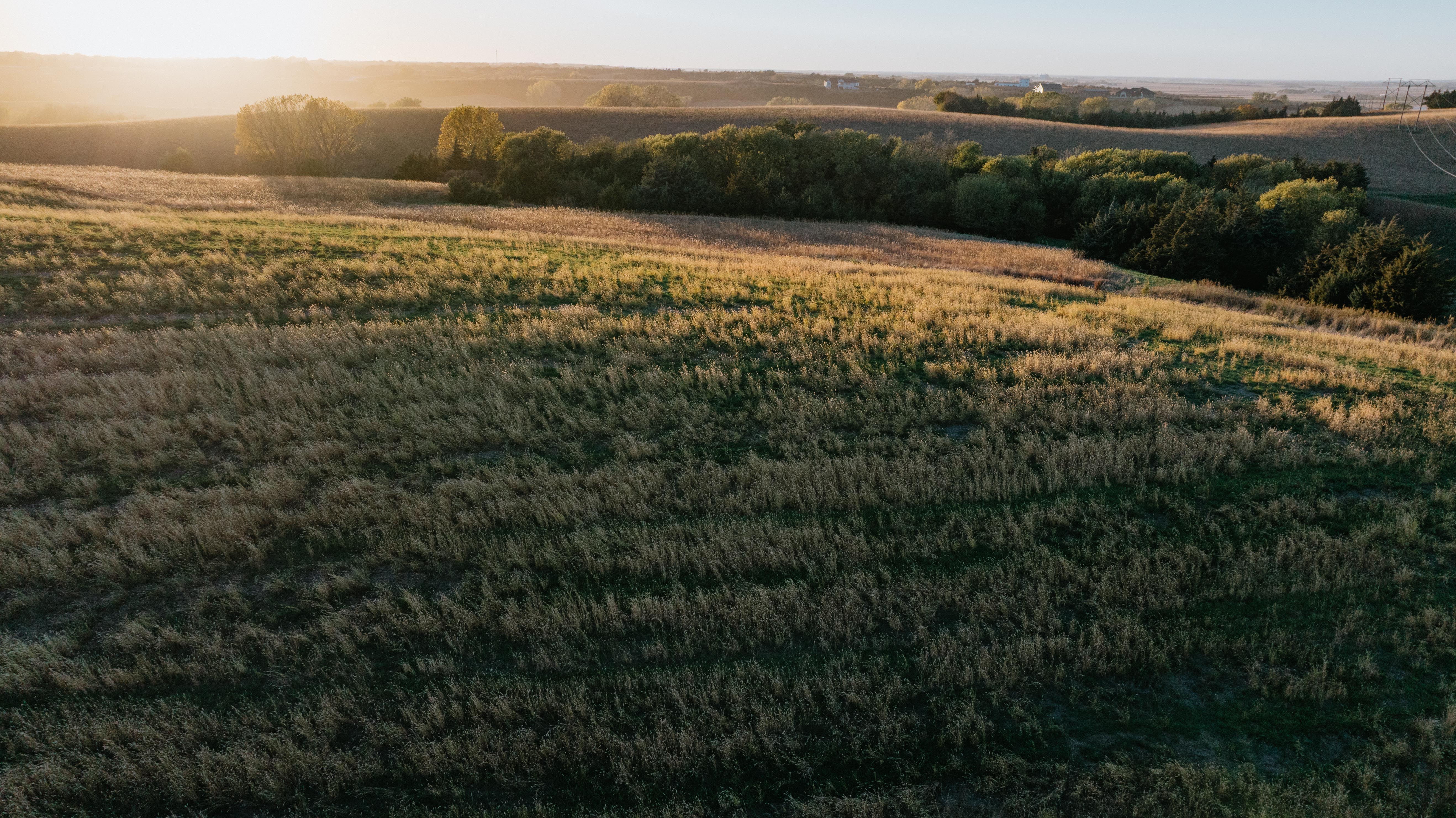 David City, NE 68632 - image 44