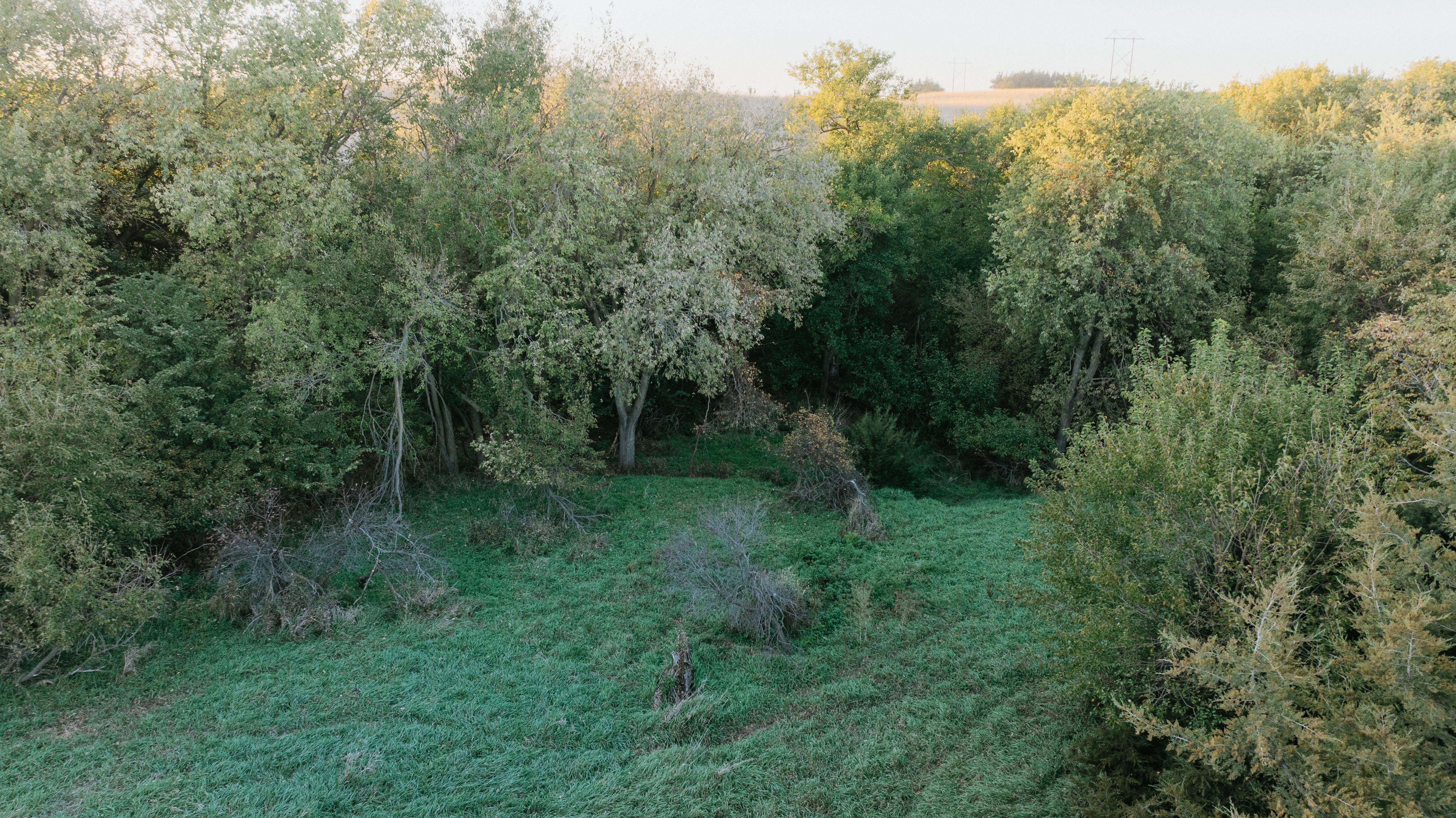 David City, NE 68632 - image 45