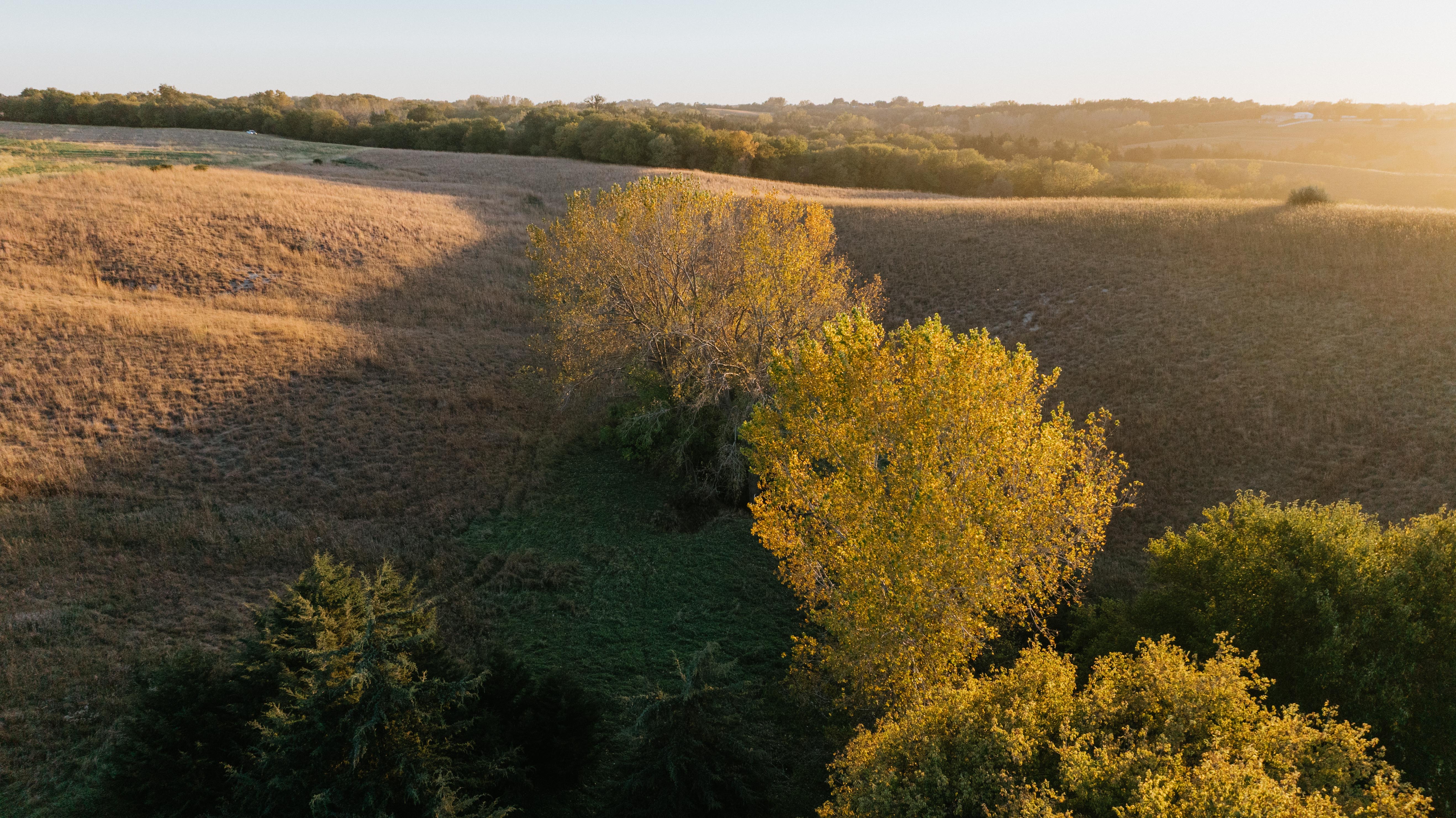 David City, NE 68632 - image 46