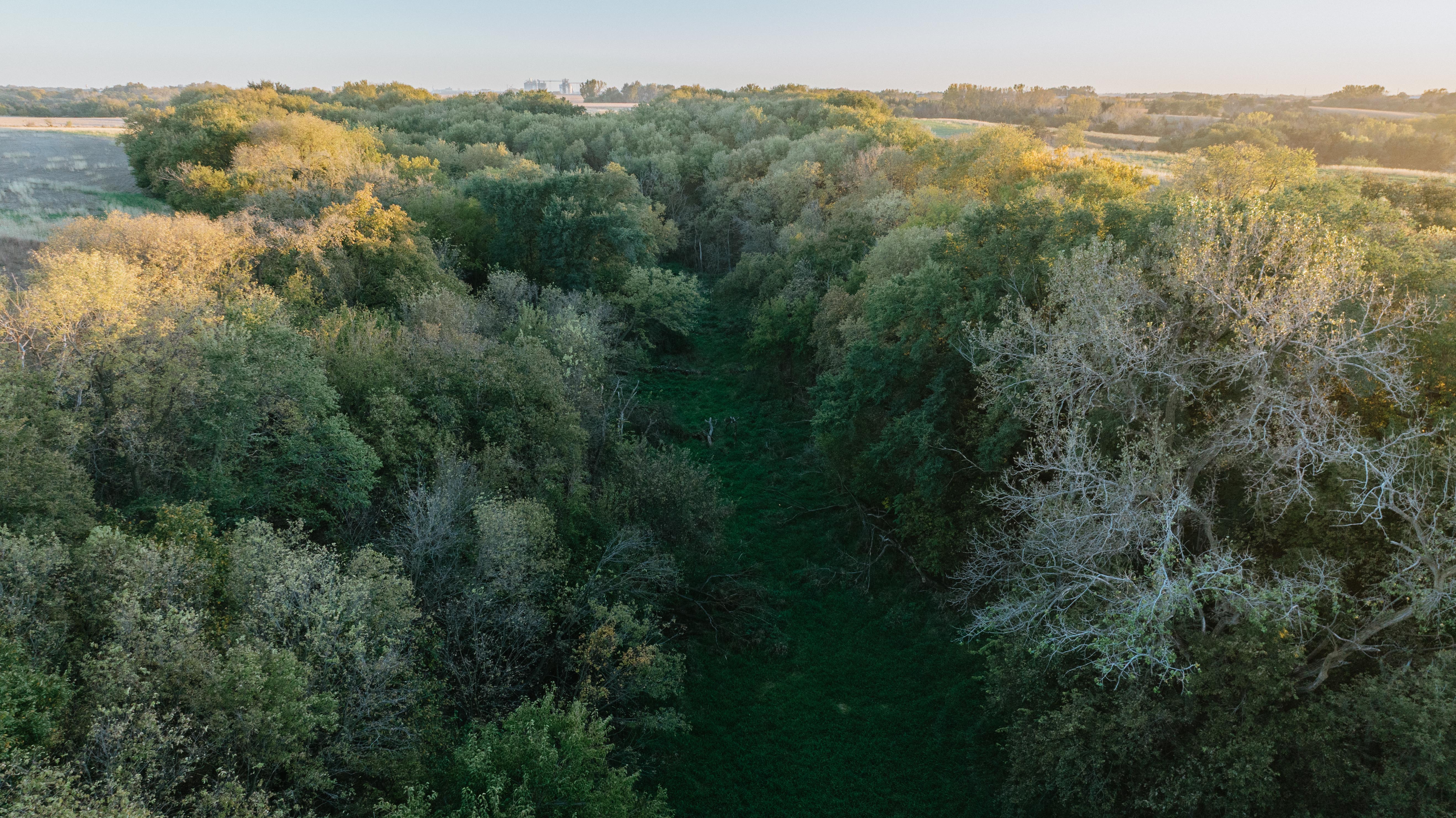 David City, NE 68632 - image 50