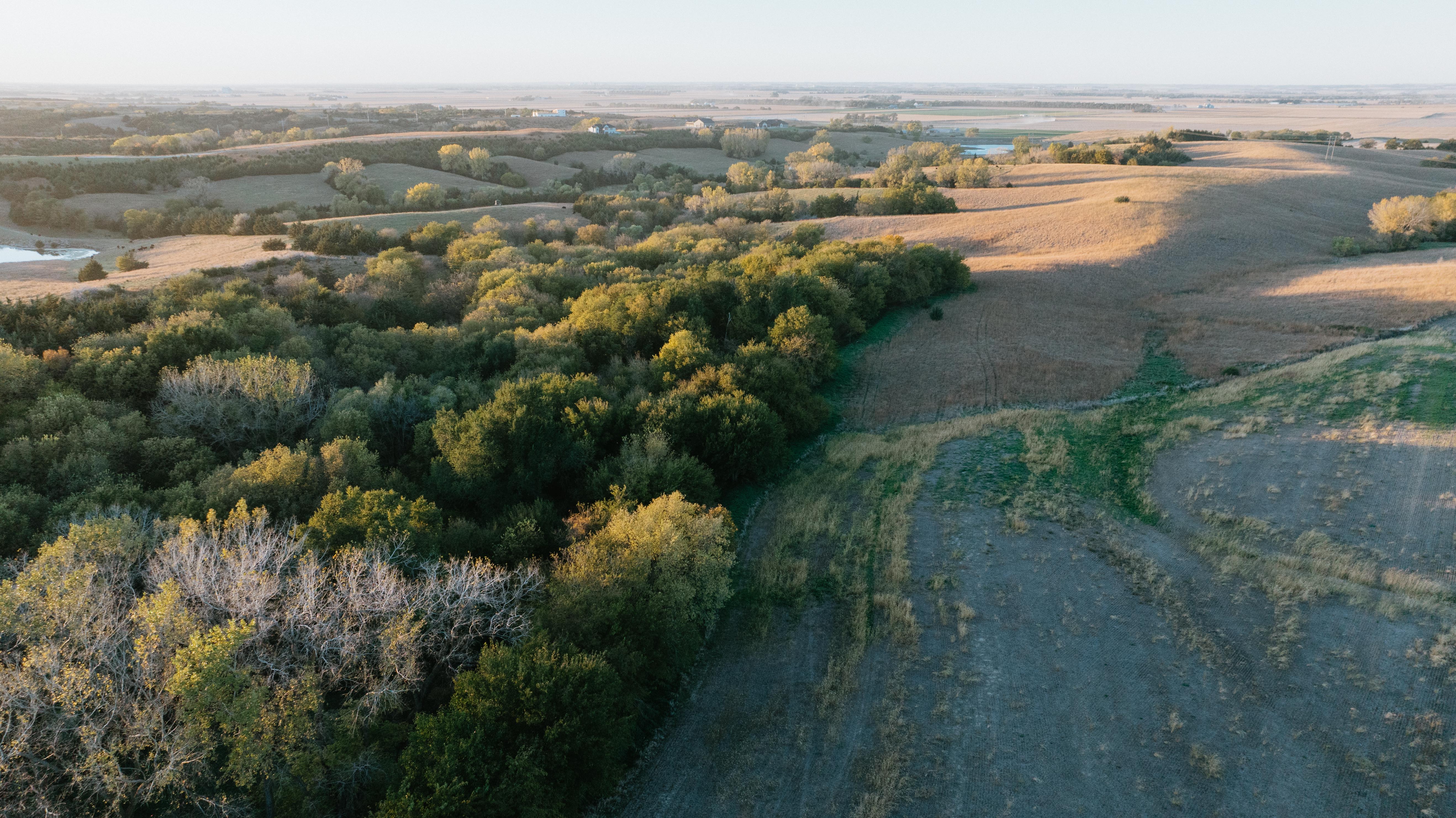 David City, NE 68632 - image 48